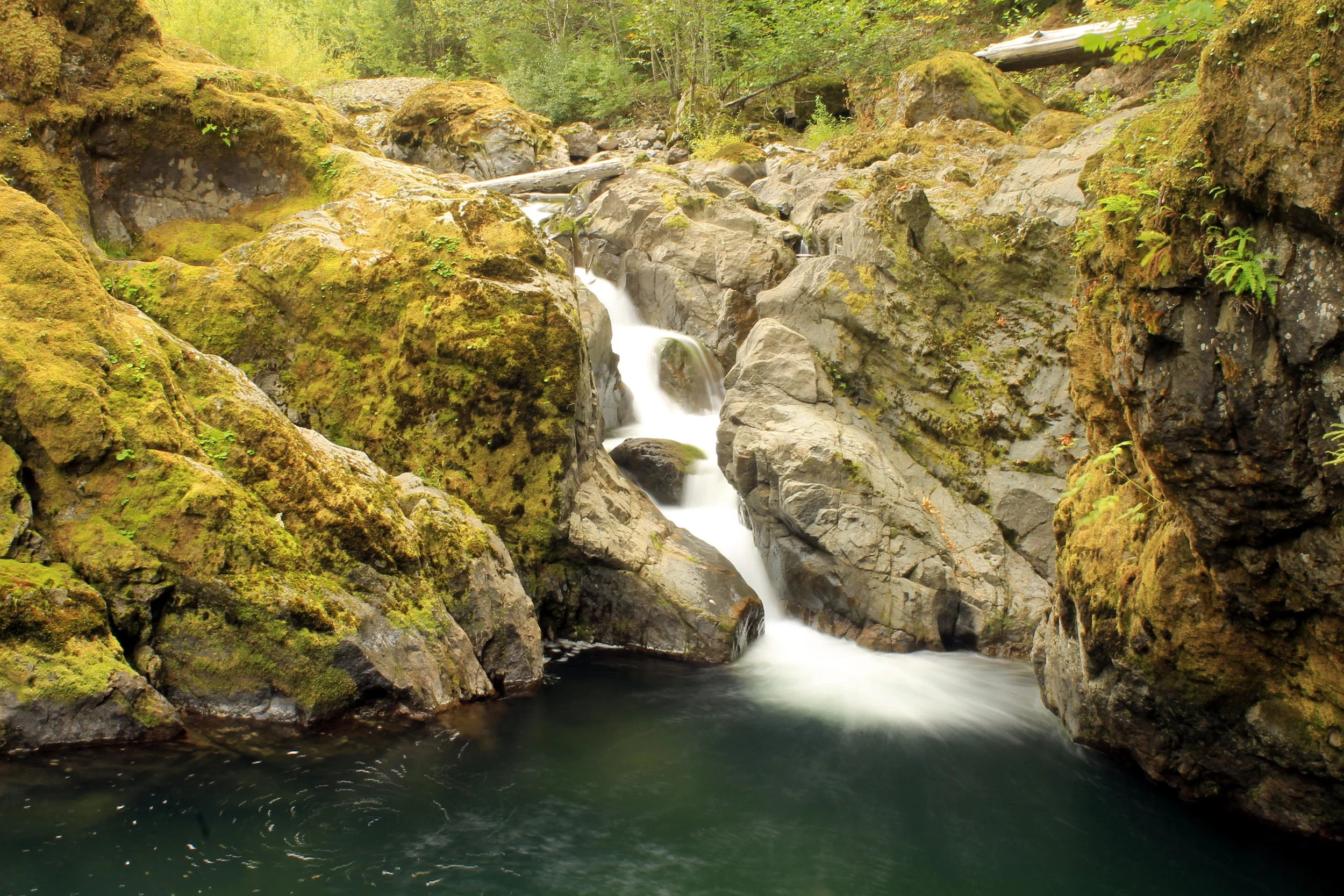 Shelter Falls 045 web.JPG