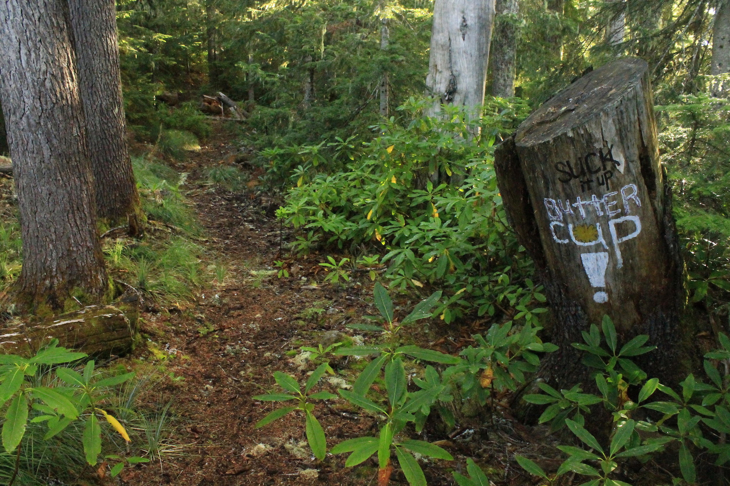 Old Cascades Crest 142 web.JPG