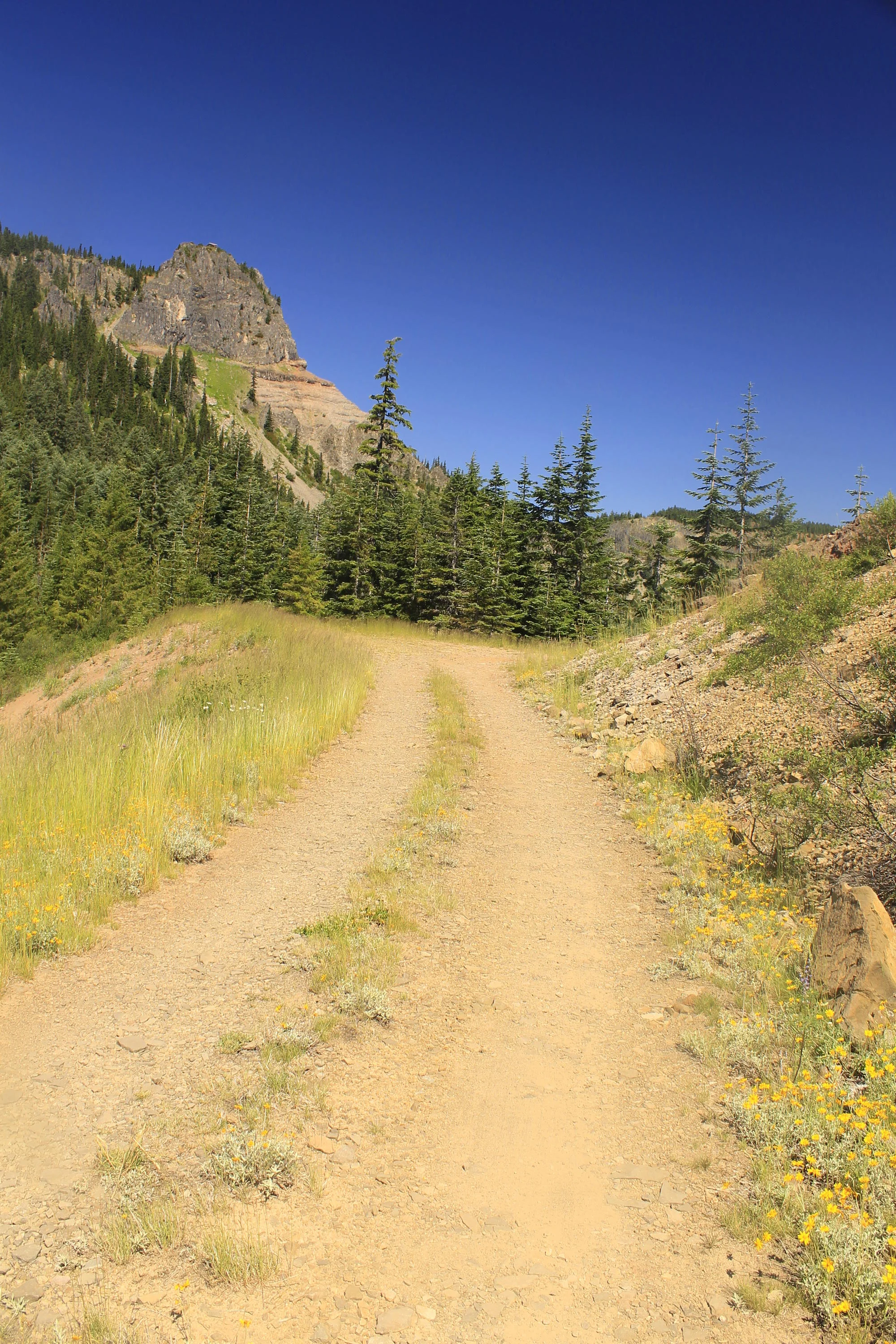 Bachelor Mountain Road 110 web.JPG