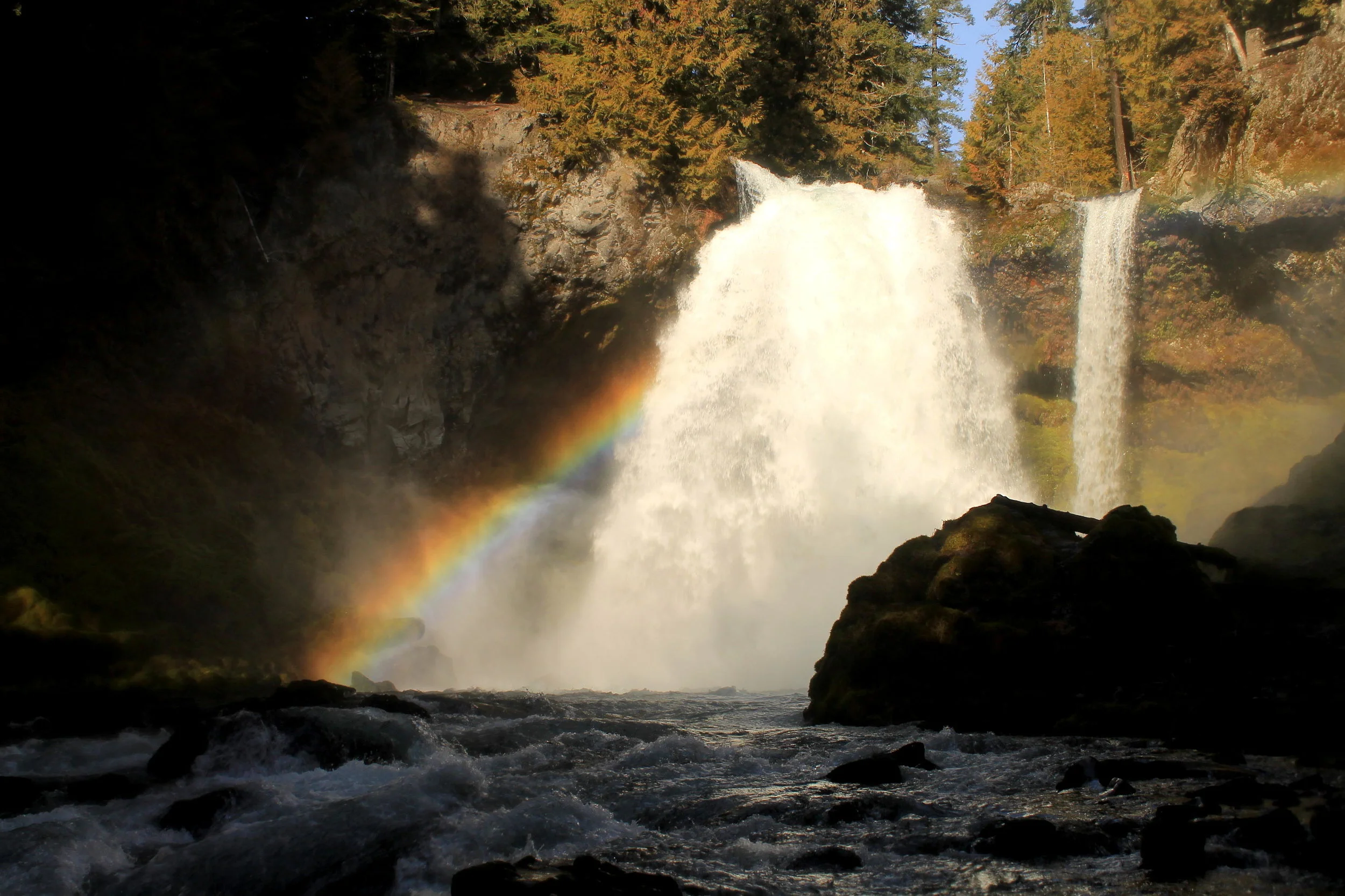 Clear Lake and McKenzie River 109 web.JPG