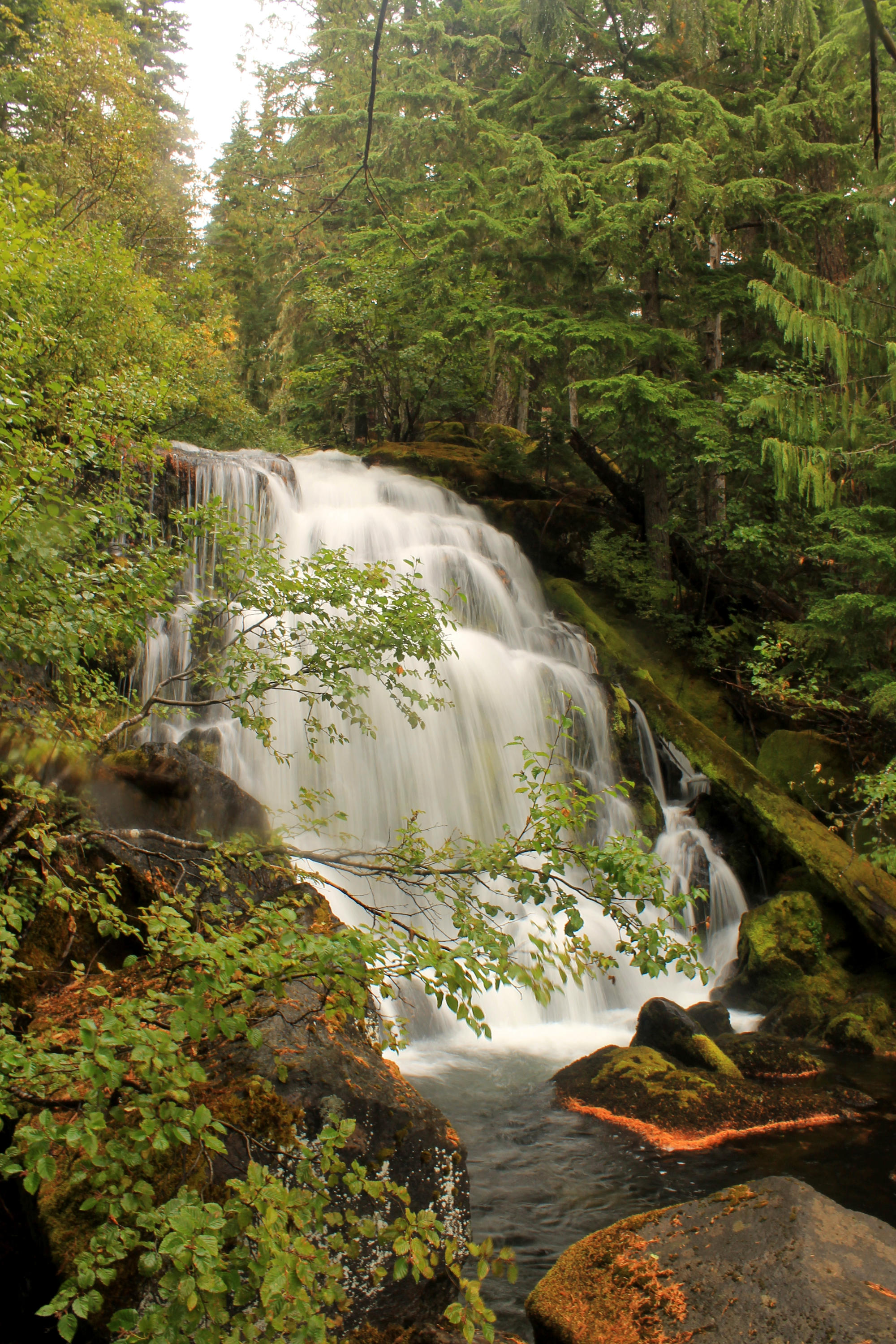 Breitenbush Cascades web.JPG