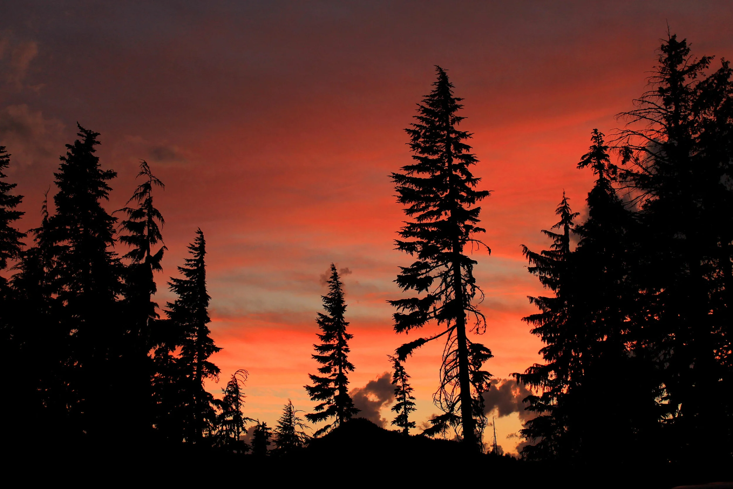 Olallie Lake 005 web.JPG