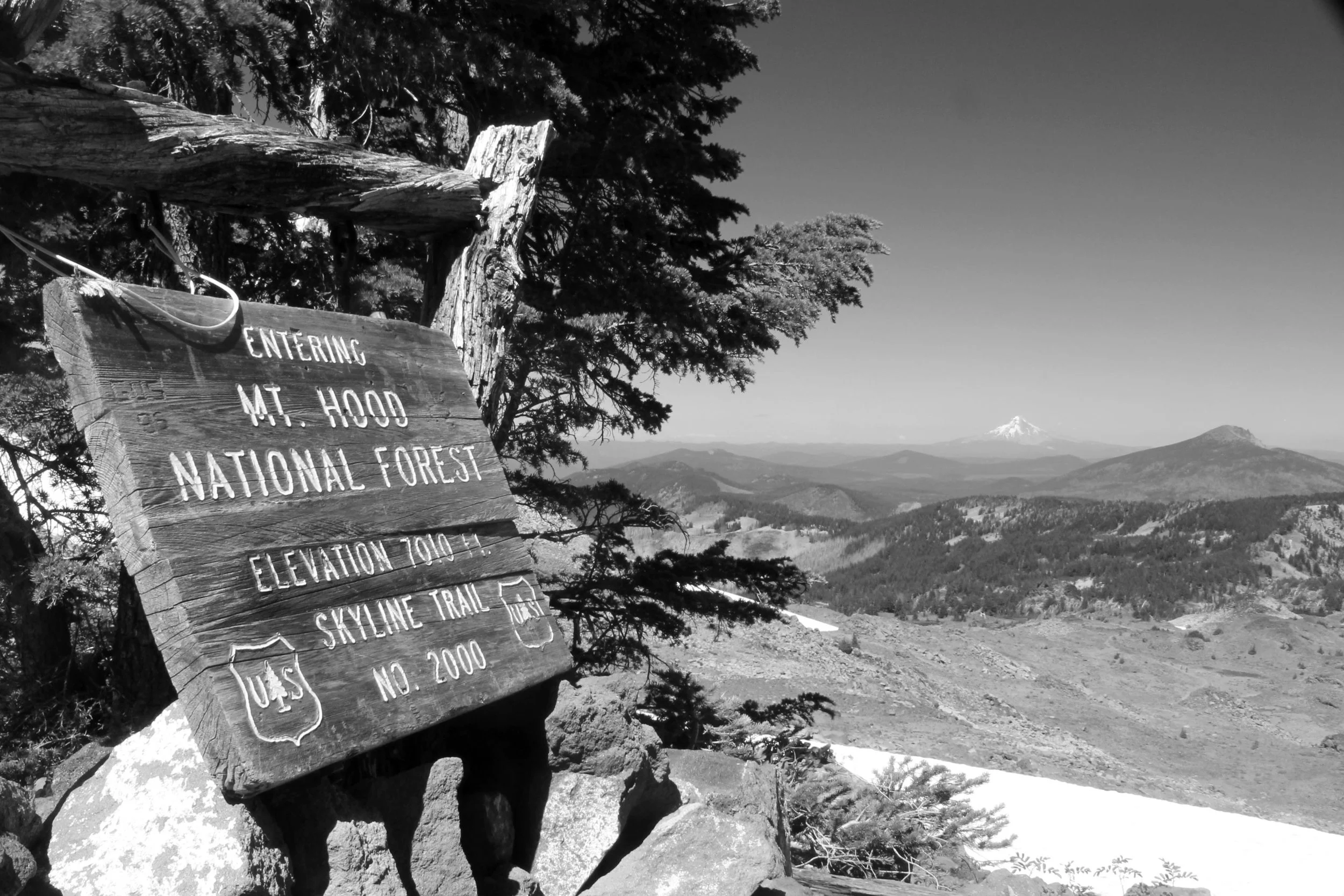 Park Ridge Skyline Trail Sign - August 2013 web.jpg