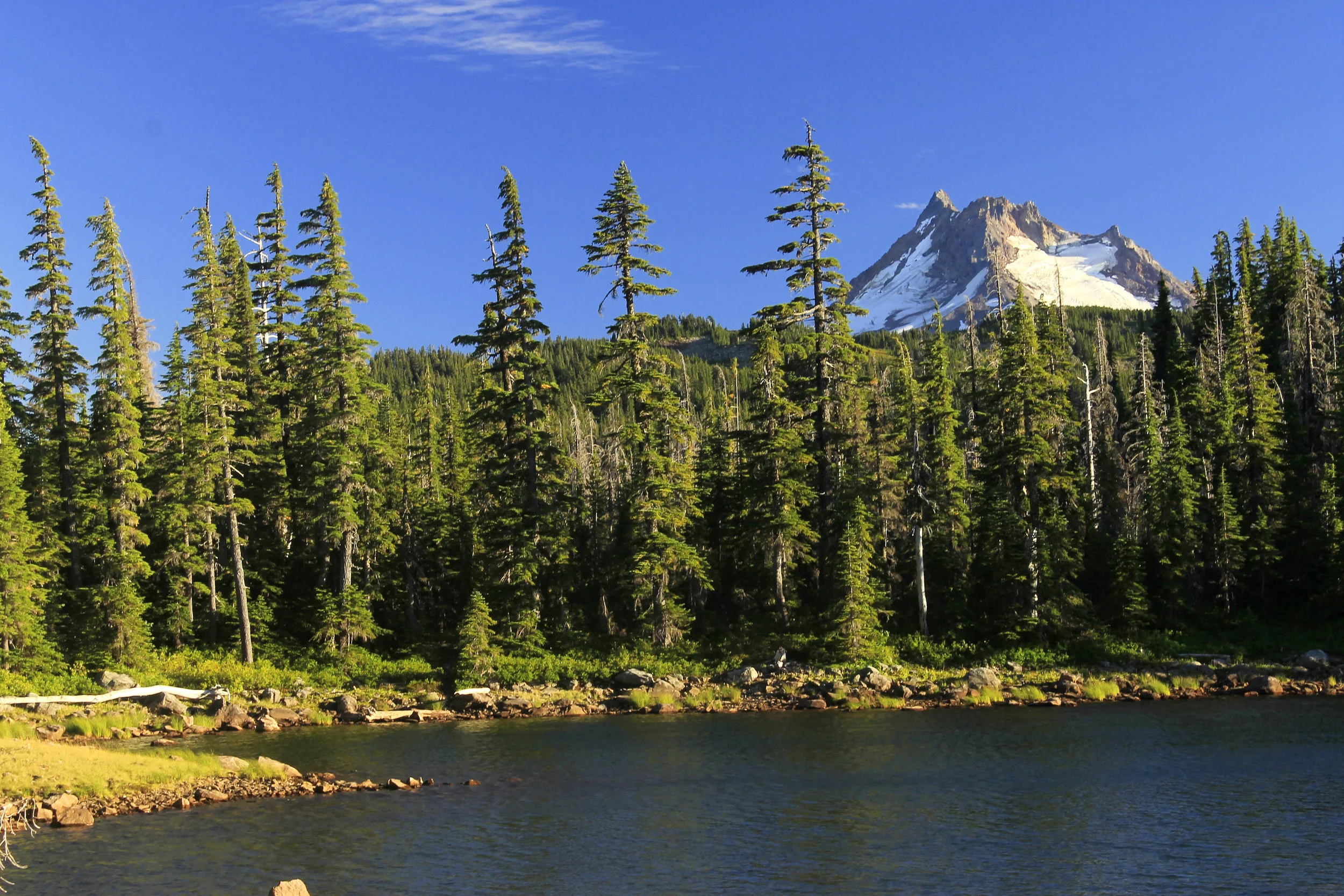 Ruddy Hill and Gibson Lake Loop web.JPG