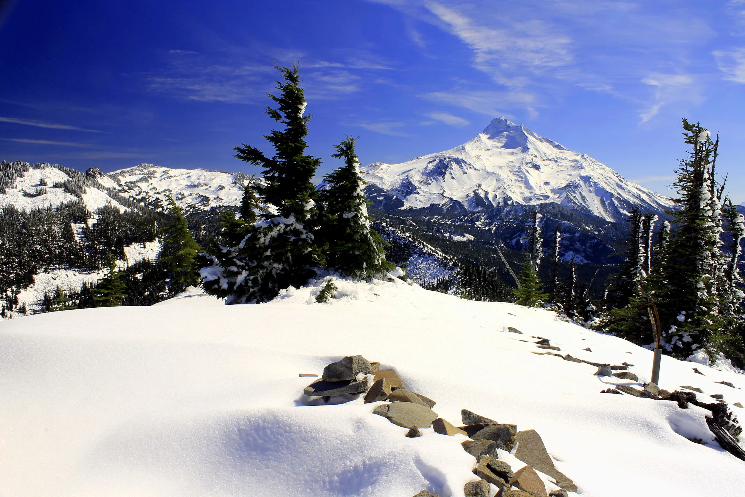 Bear Point 026 web.JPG