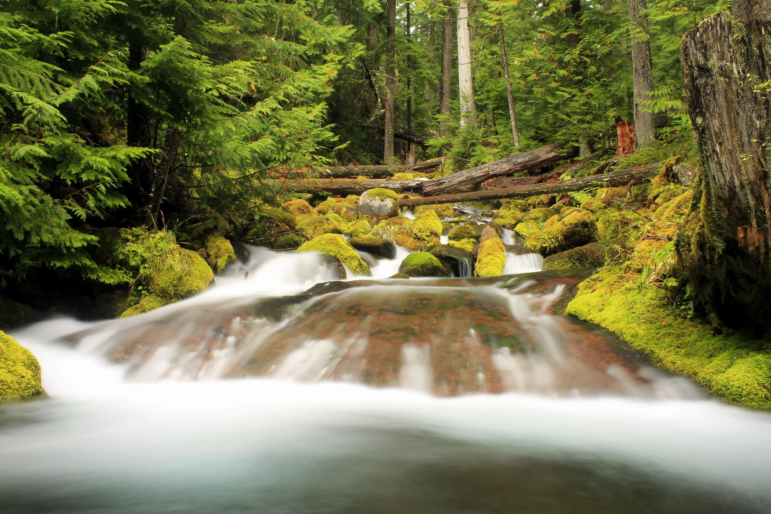 Breitenbush 046 web.JPG