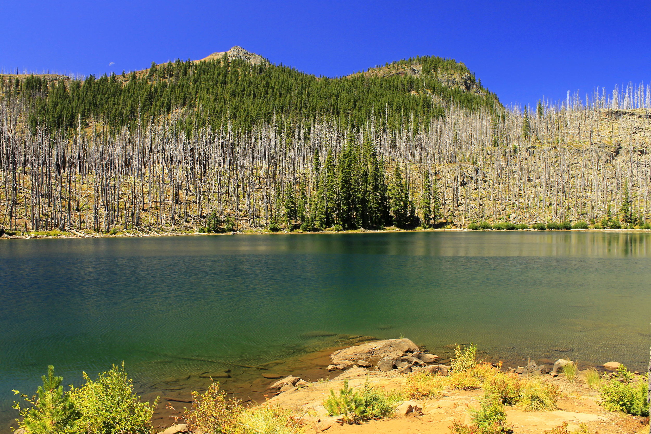 Eight Lakes Basin 033 web.JPG