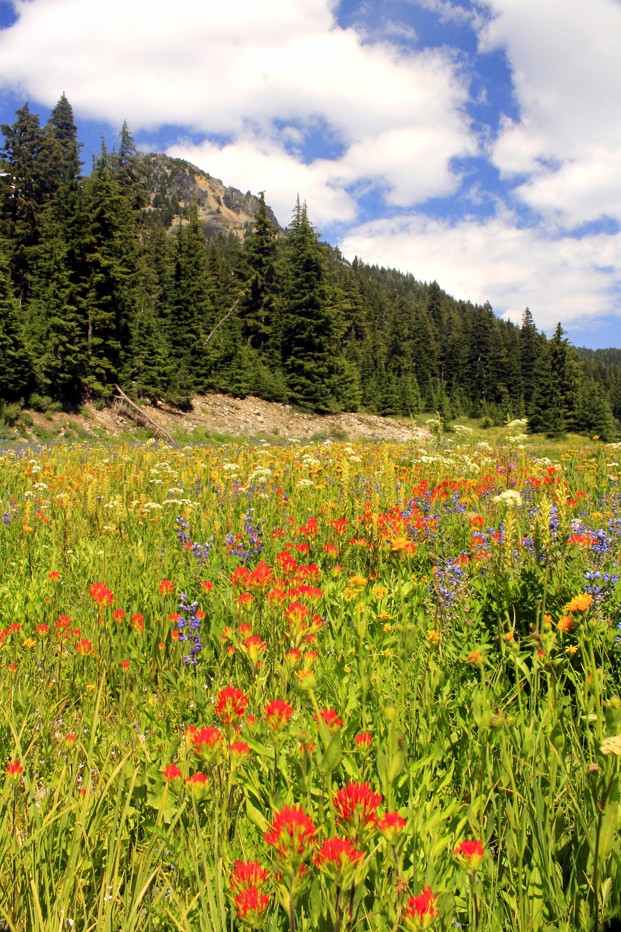 Jefferson Park 063 web.JPG