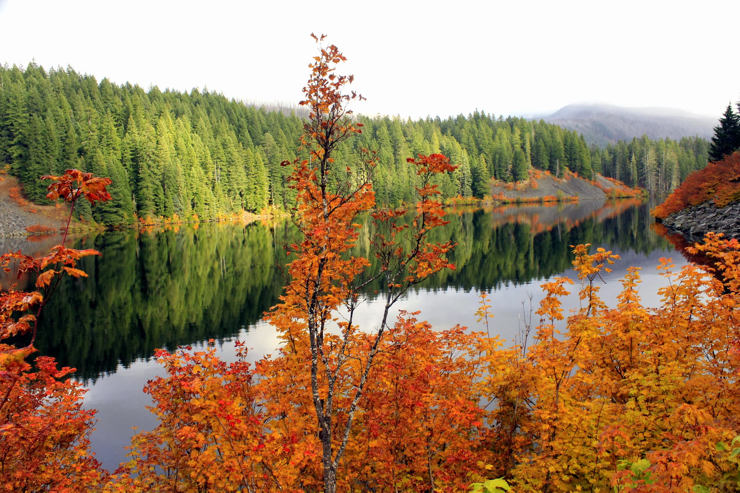 Marion Lake 132 web.JPG