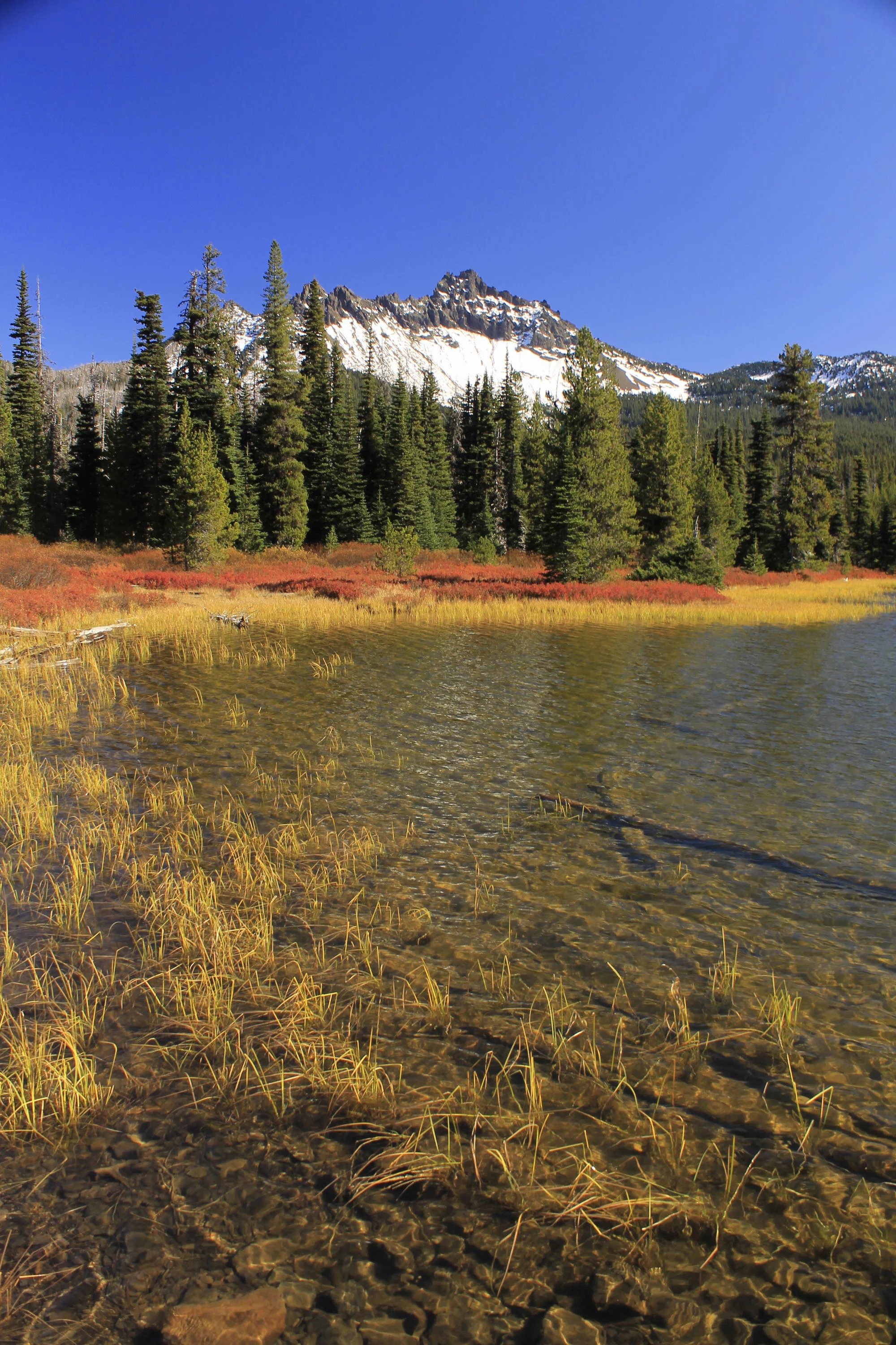 Santiam Lake 052 web.JPG