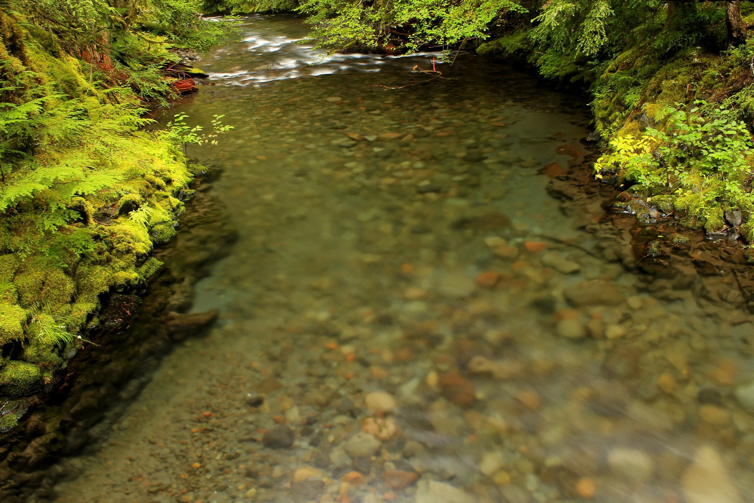 South Breitenbush River - September 2013 web.JPG