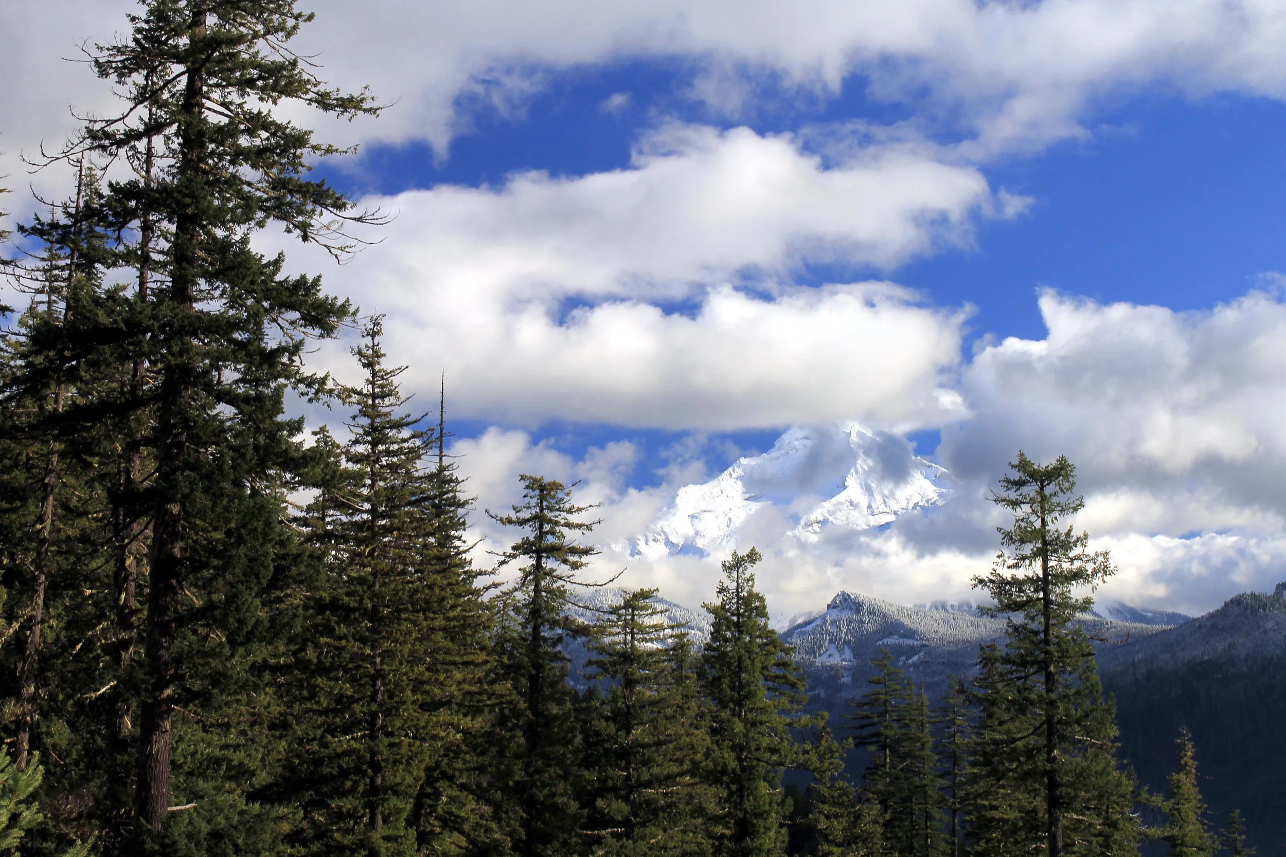 South Breitenbush Viewpoint November 2015 web.JPG