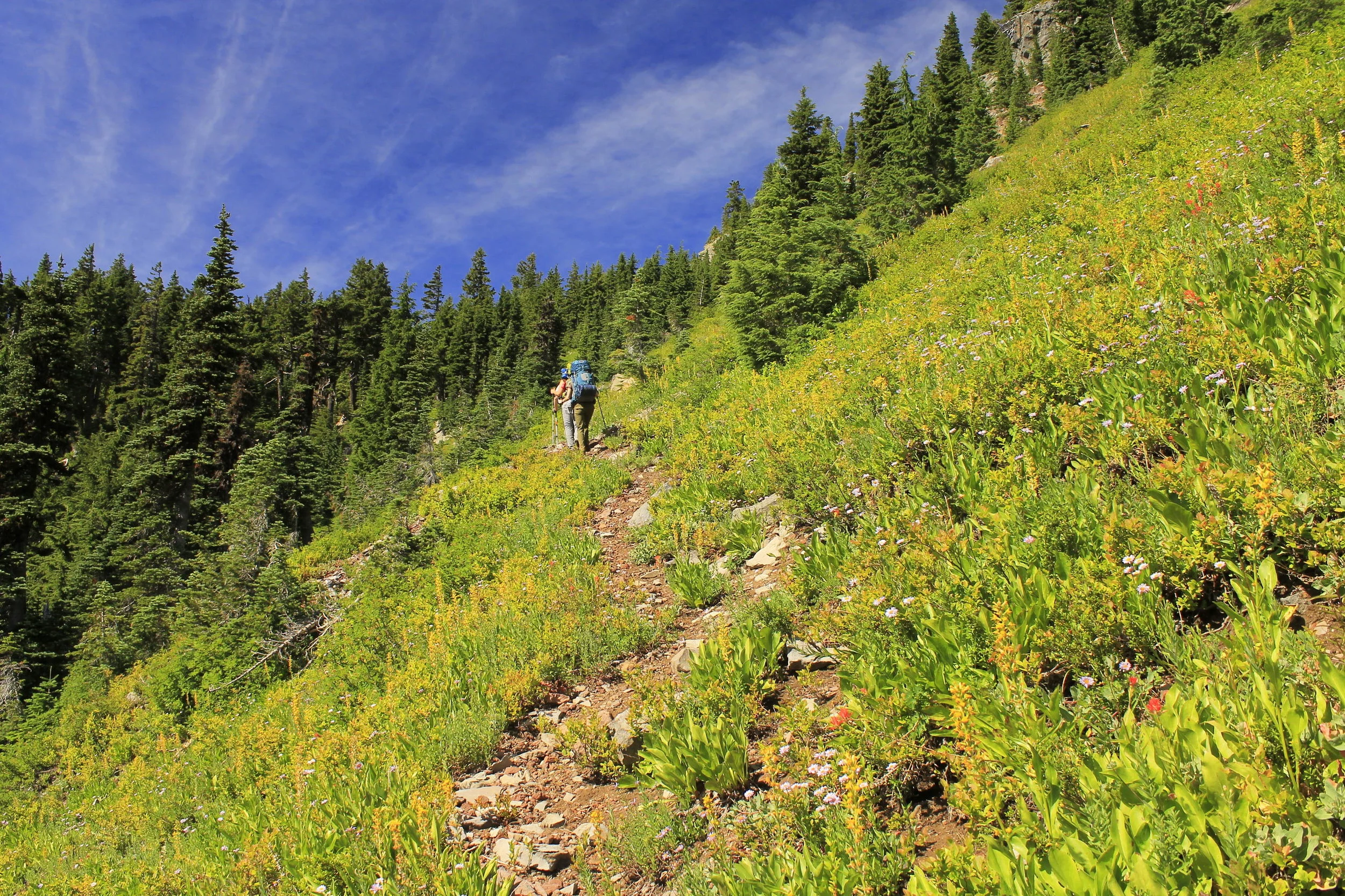 Table Lake 274 web.JPG