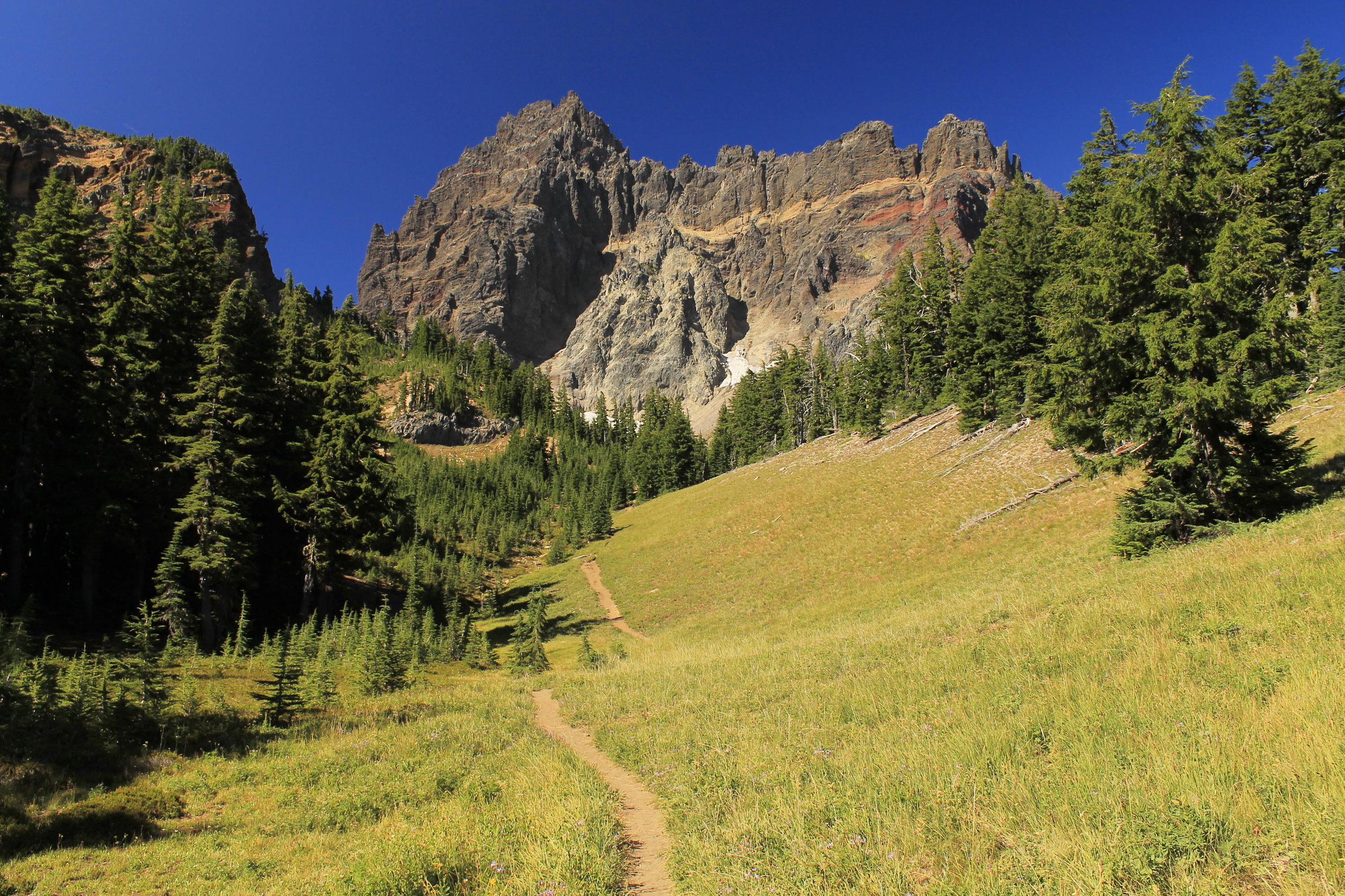 Canyon Creek Meadows 098 web.JPG