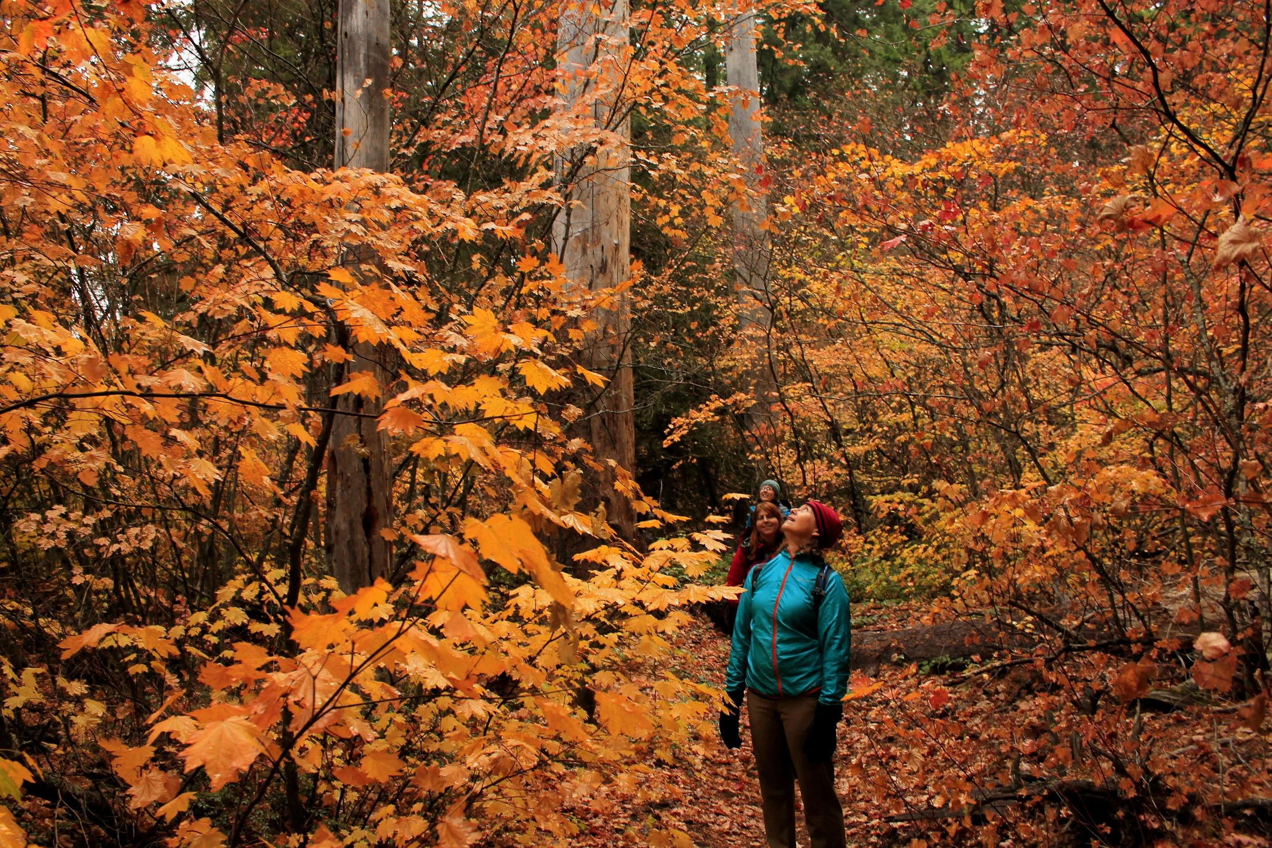 Metolius Finale 125 web.JPG