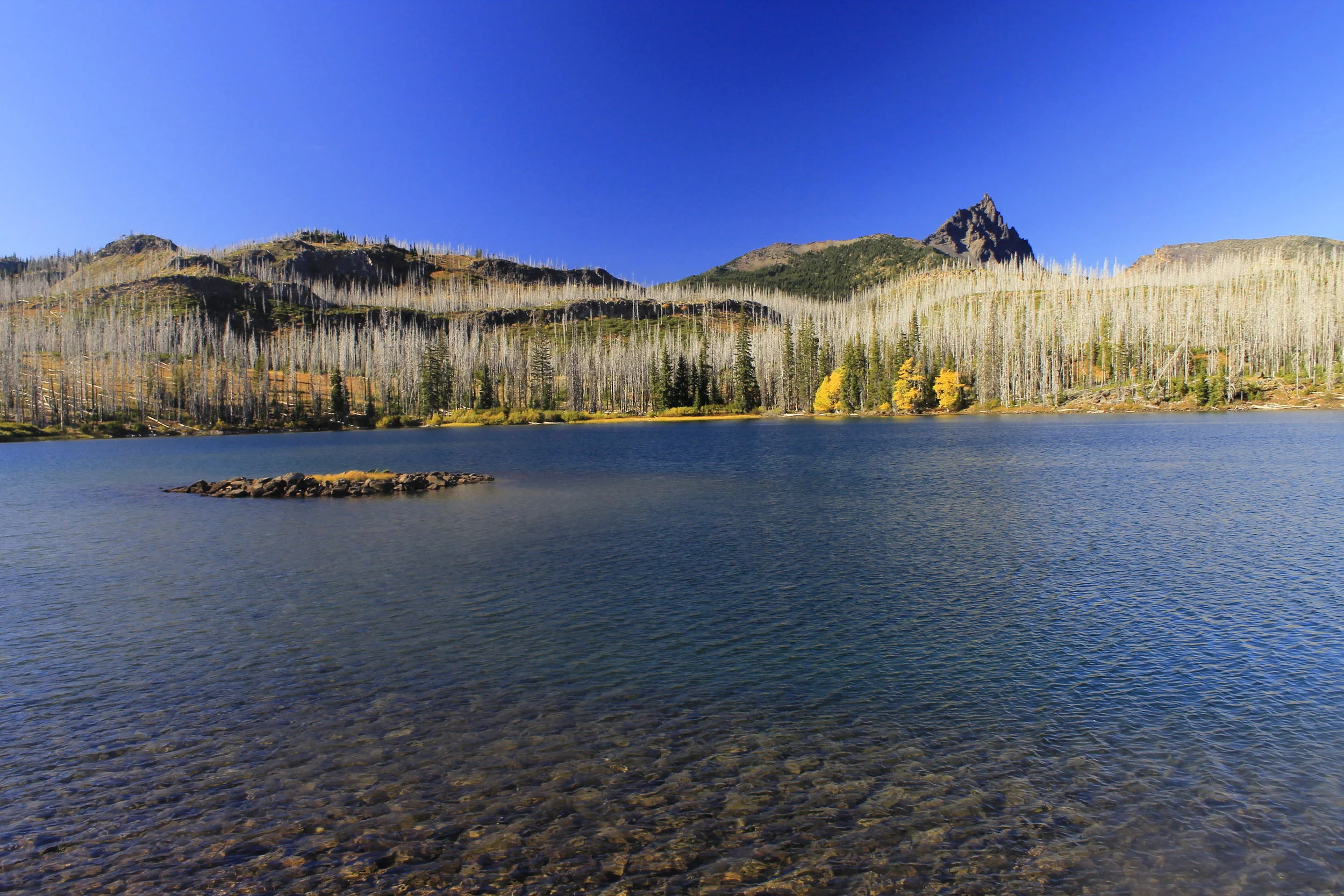 Round Lake 037 web.JPG