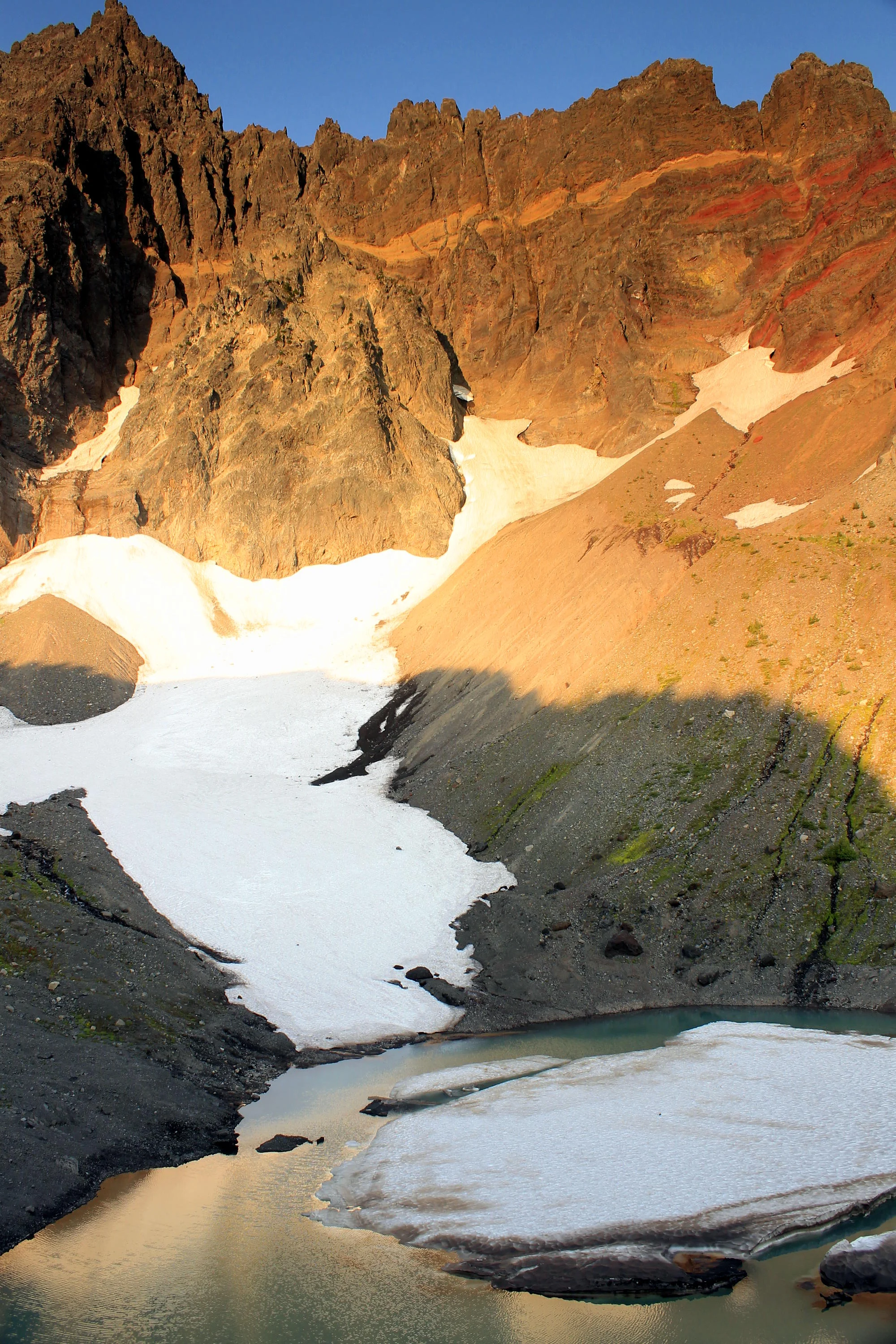 Three-Fingered Jack 115 web.JPG