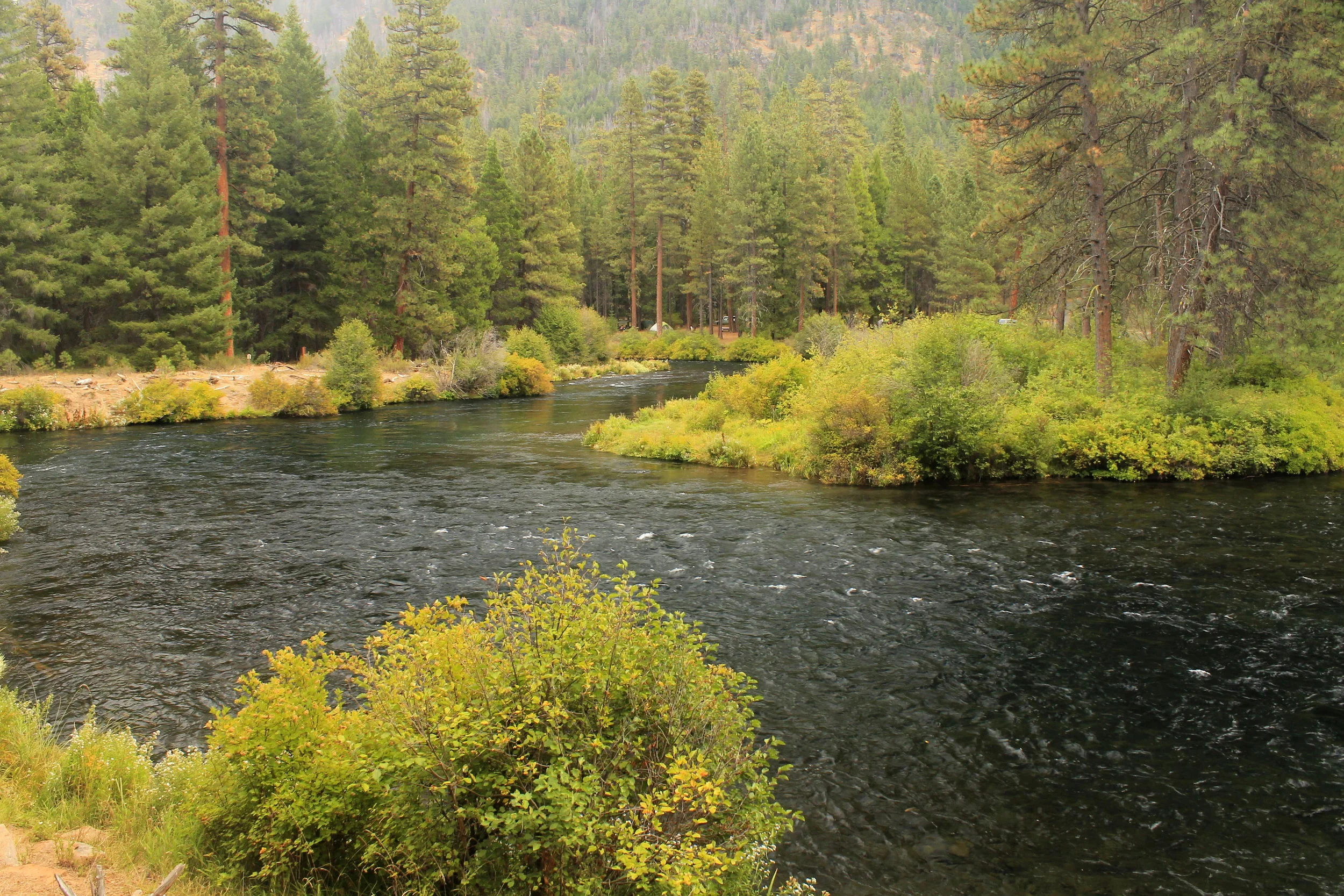 Metolius River 039 web.JPG