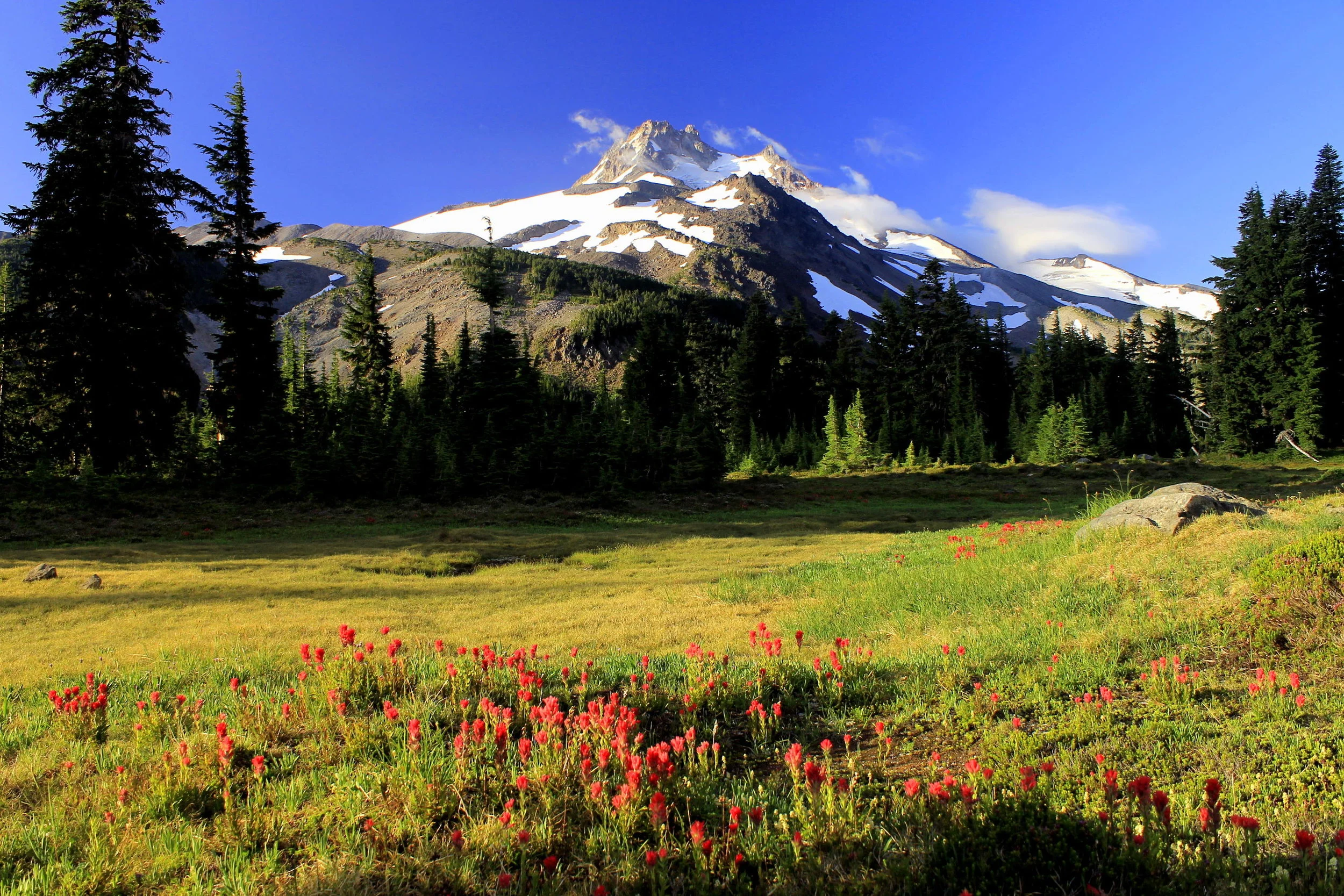 Mount Jefferson West