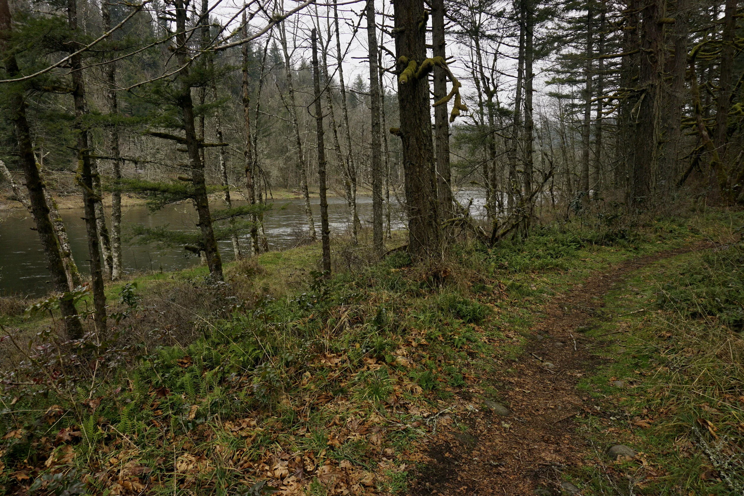 January 20, 2020 - Into Oxbow's Back Doors