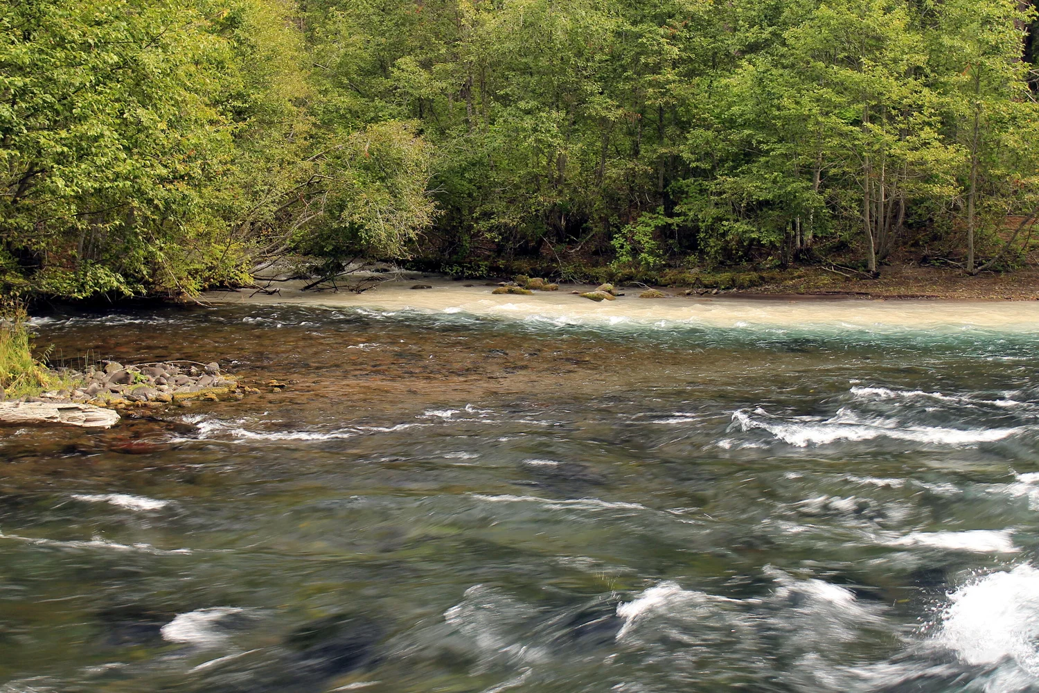 Lower Metolius River - September 15, 2019 — Off the Beaten Trail!