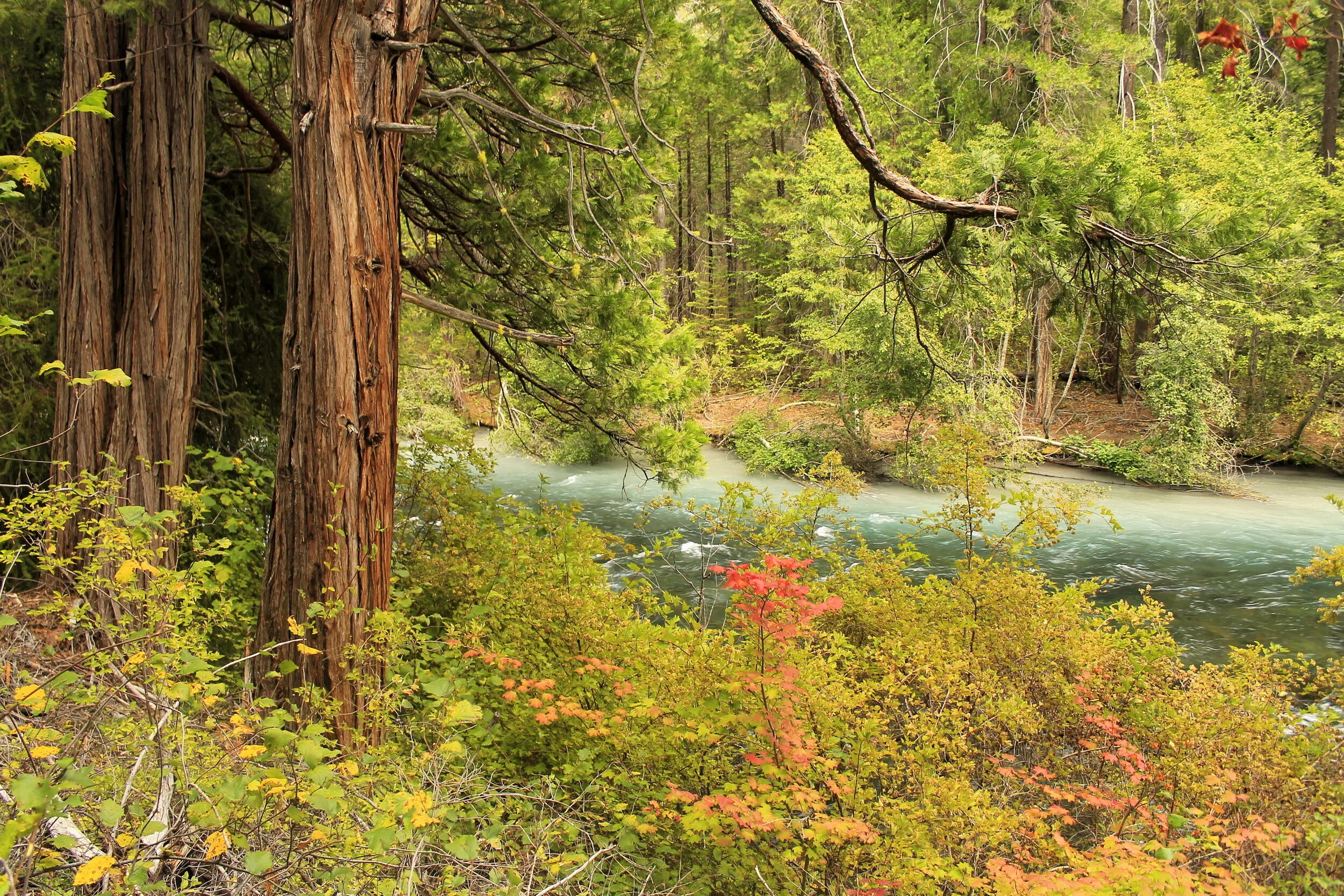 Lower Metolius River - September 15, 2019 — Off the Beaten Trail!