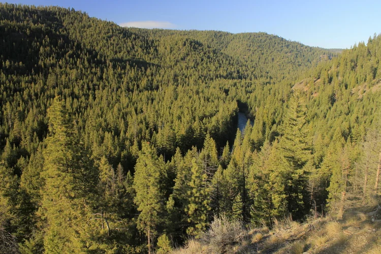 Lower Metolius River - September 15, 2019 — Off the Beaten Trail!