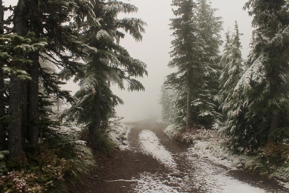 Indian Ridge Lookout - October 3 - 5, 2019 — Off the Beaten Trail!