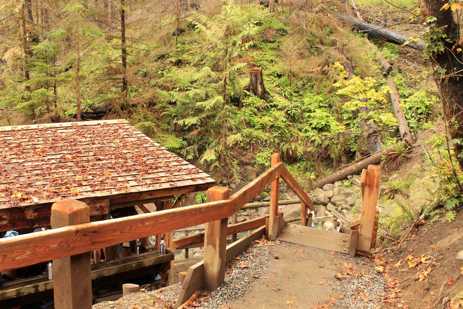Indian Ridge Lookout - October 3 - 5, 2019 — Off the Beaten Trail!