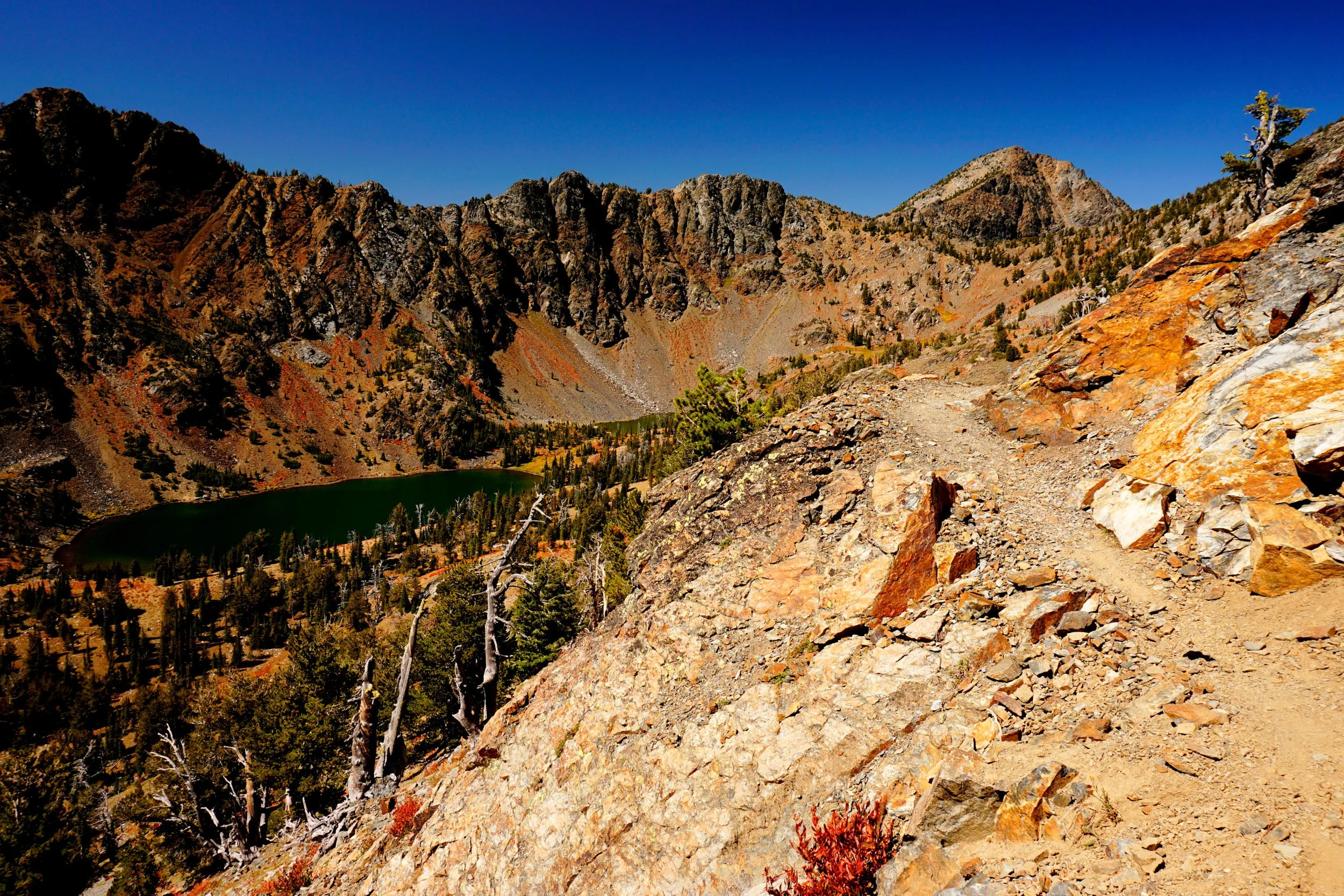 Elkhorns 033 web.JPG