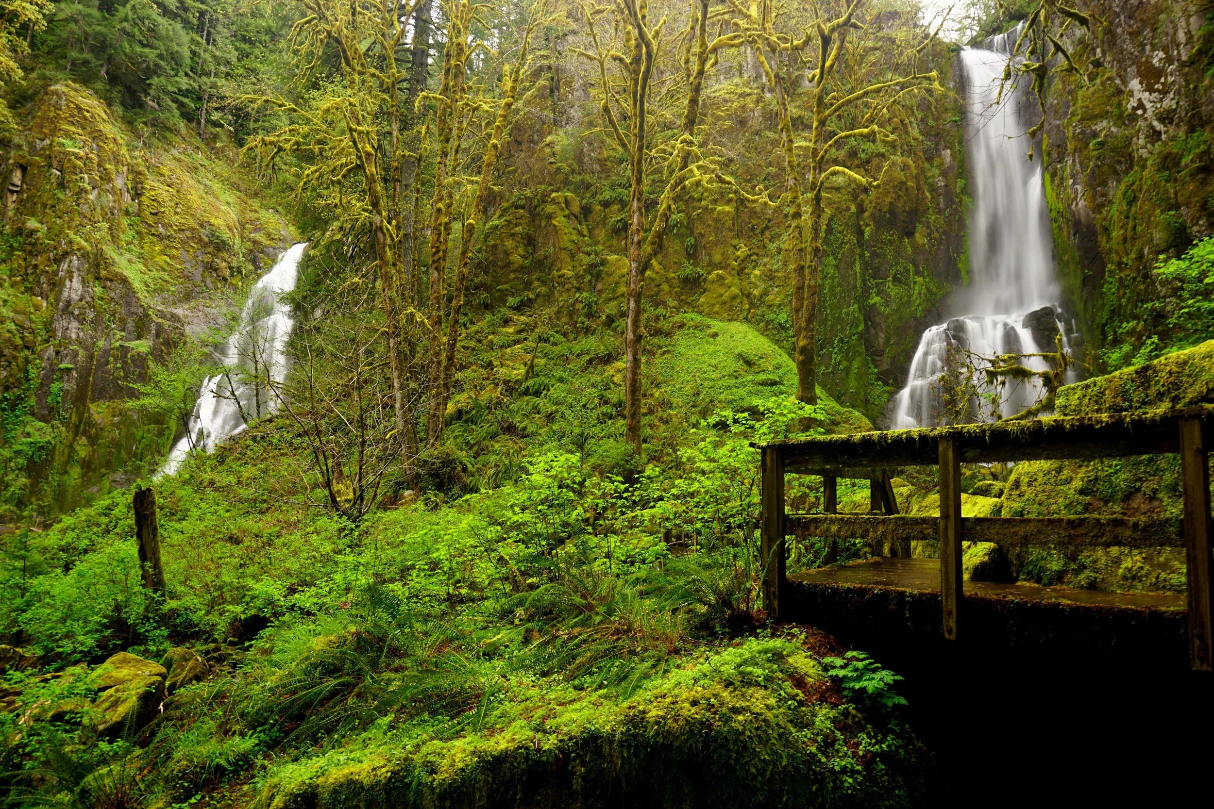 Reedsport Research Weekend 360 Web.JPG