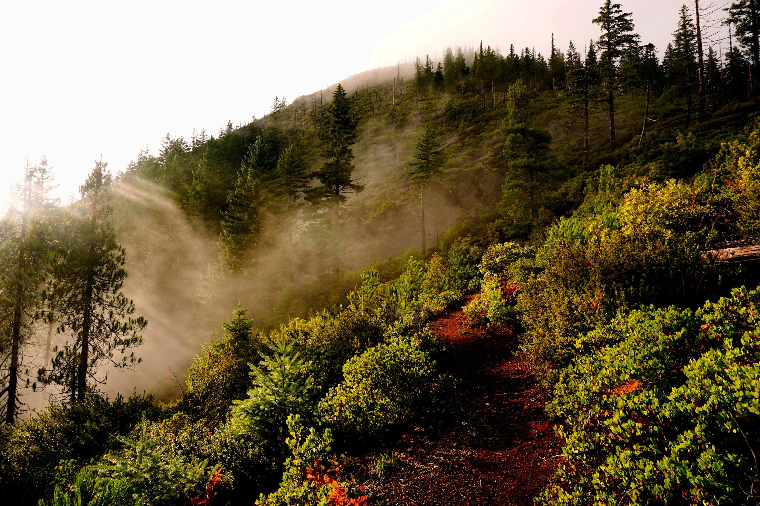 Roseburg Research Weekend 205 web.JPG