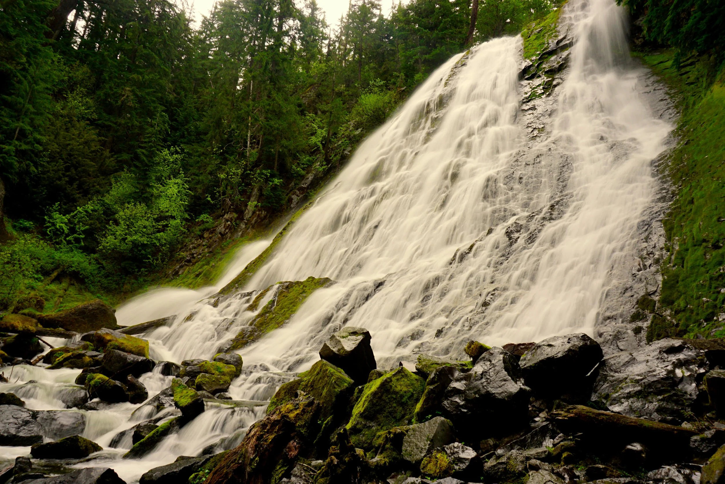 Southern Oregon 014 web.JPG