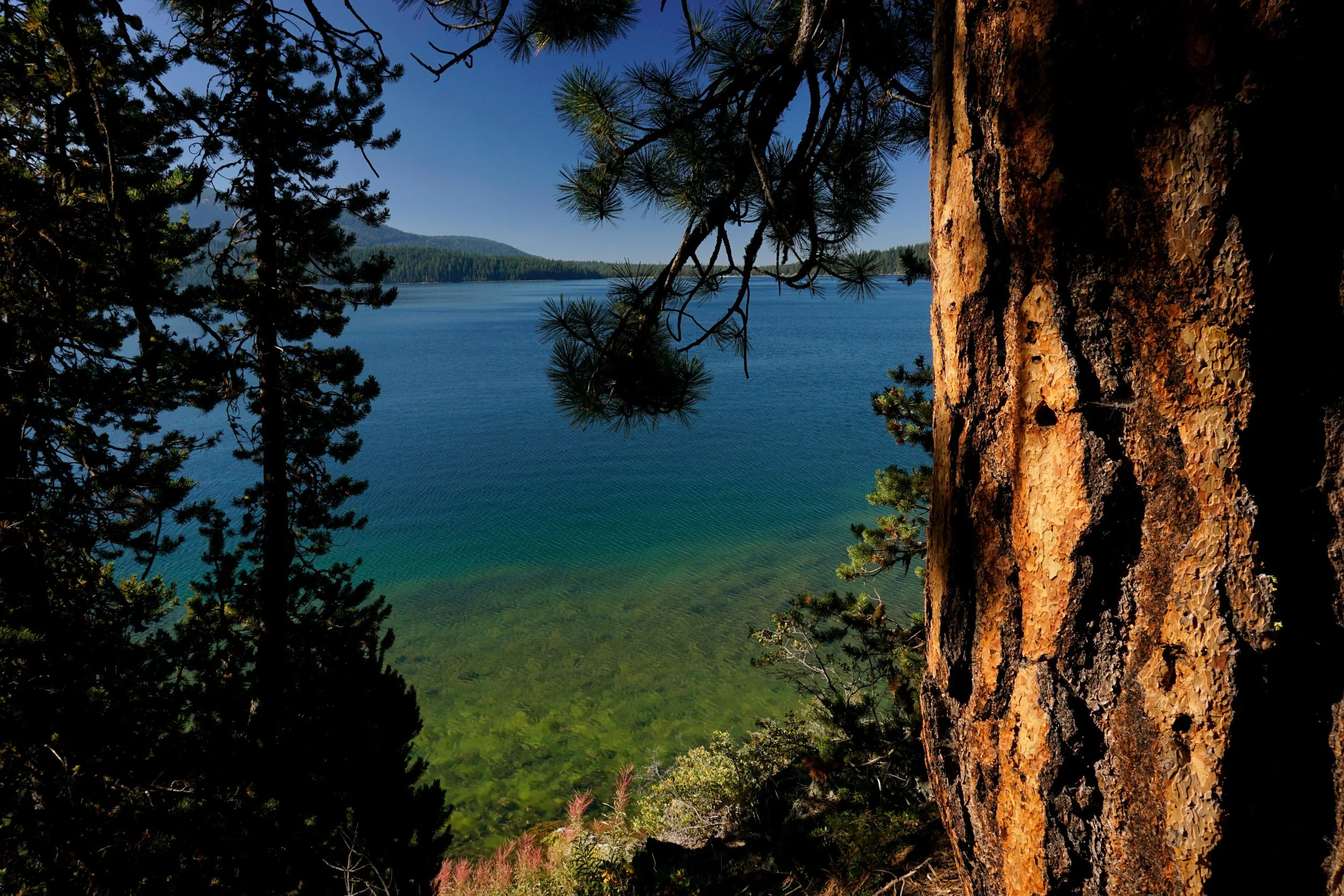 Central Oregon 068 web.JPG