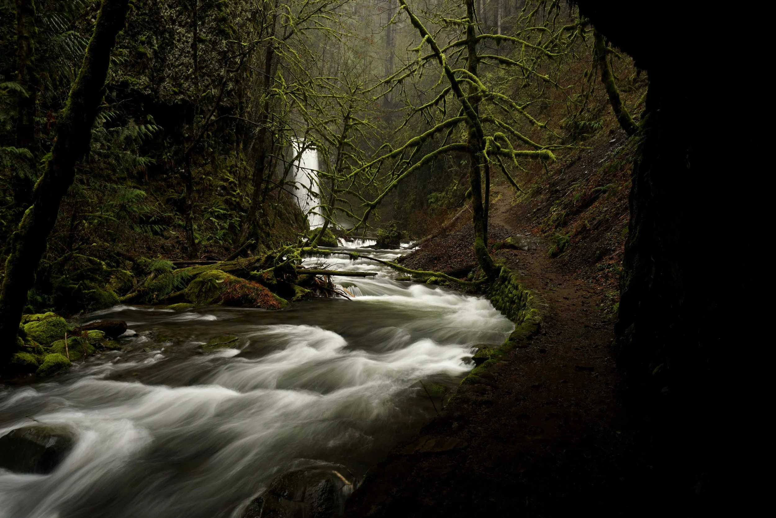 Multnomah-Wahkeena 063 web.JPG