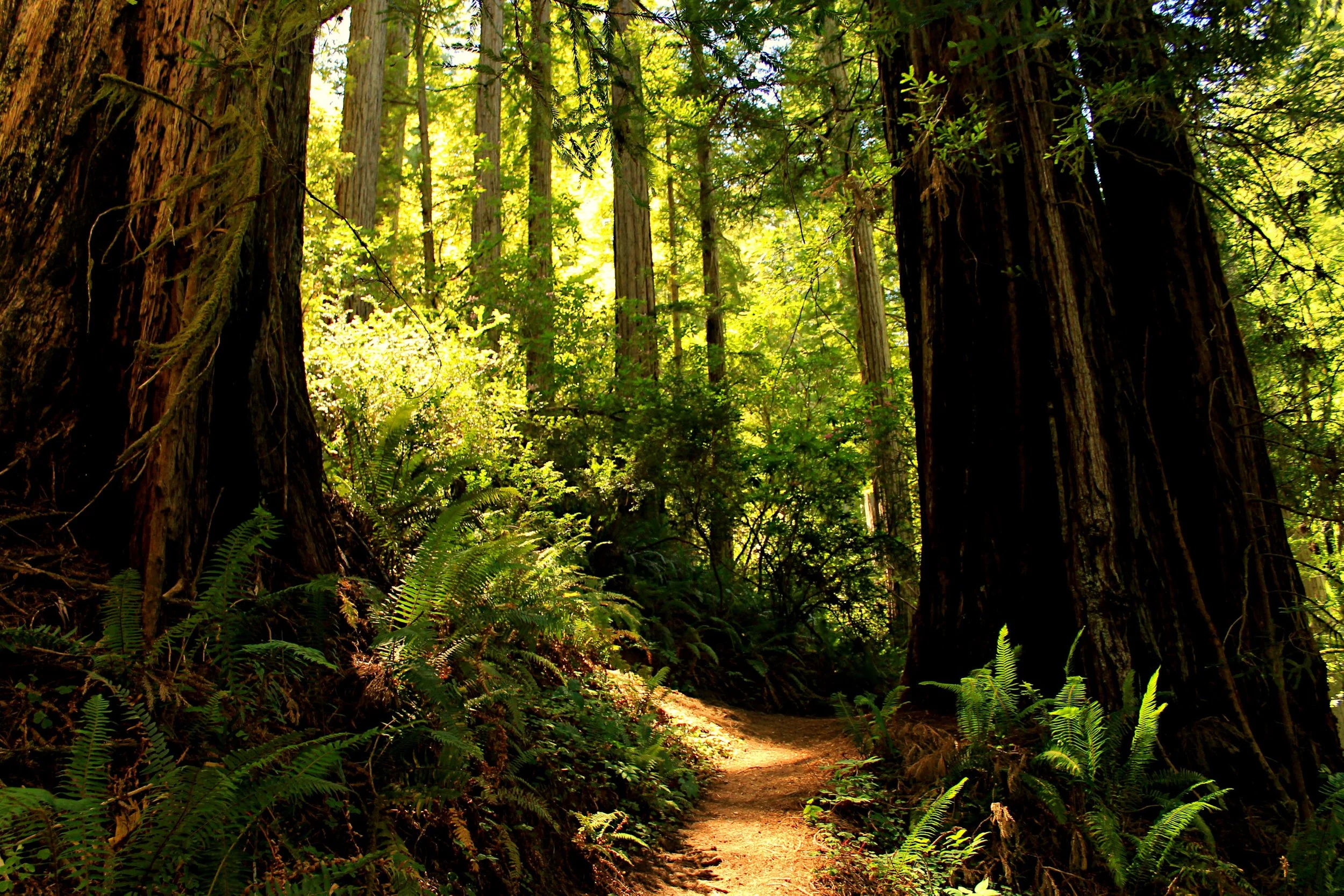 Gold Beach Vacation 190 Web.JPG