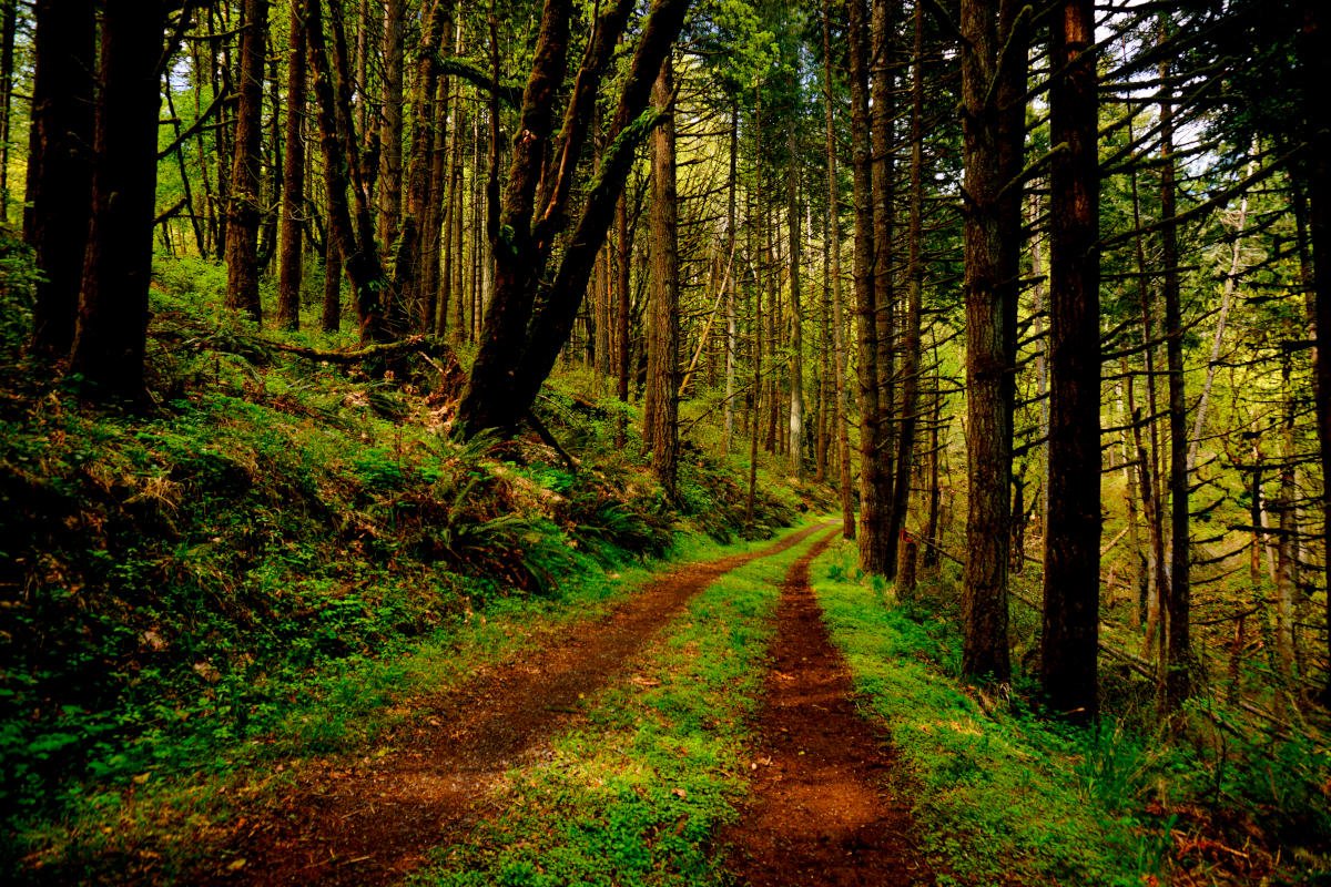 Portland and the Willamette Valley