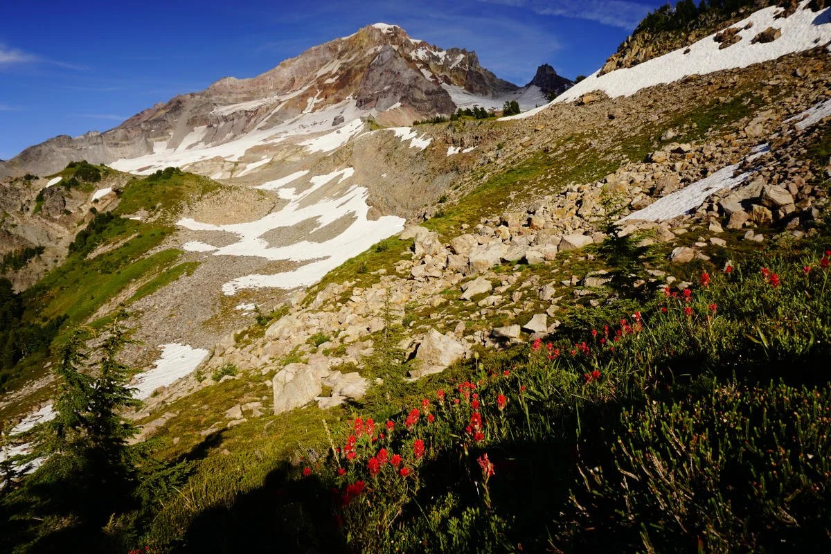 Northern Oregon Cascades