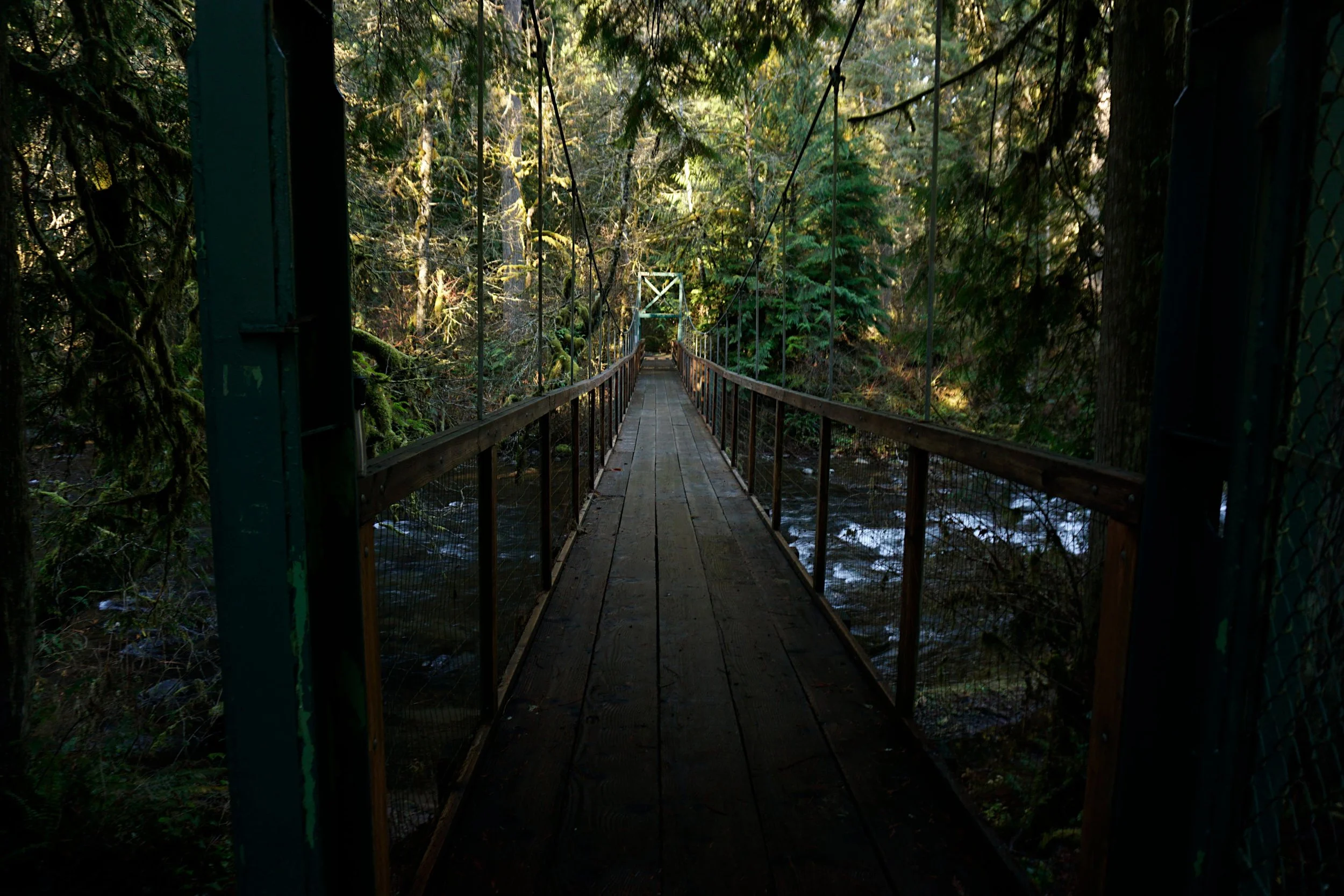 Eagle-Fern Park 001 web.JPG