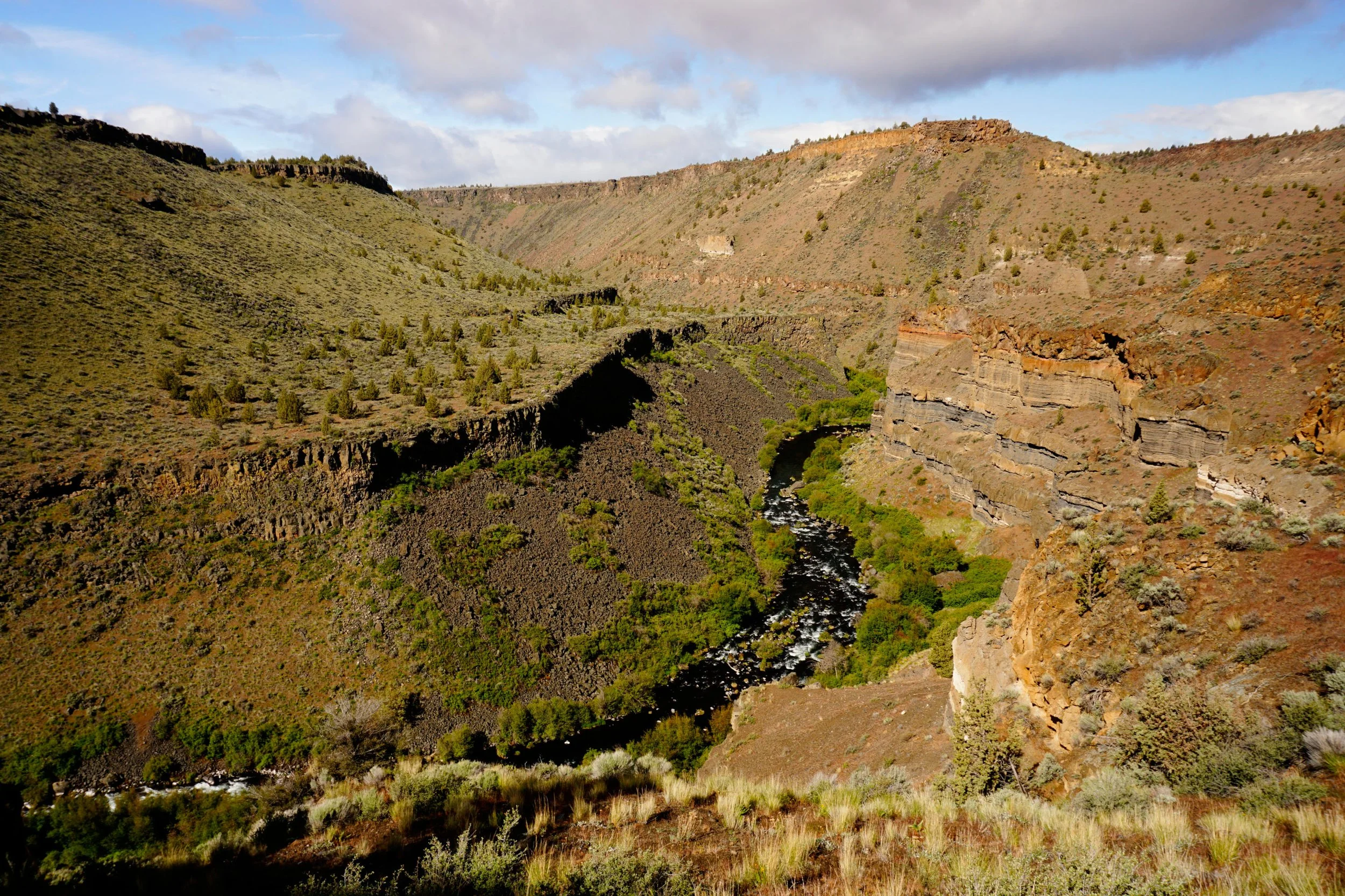 Scout Camp 037 web.JPG