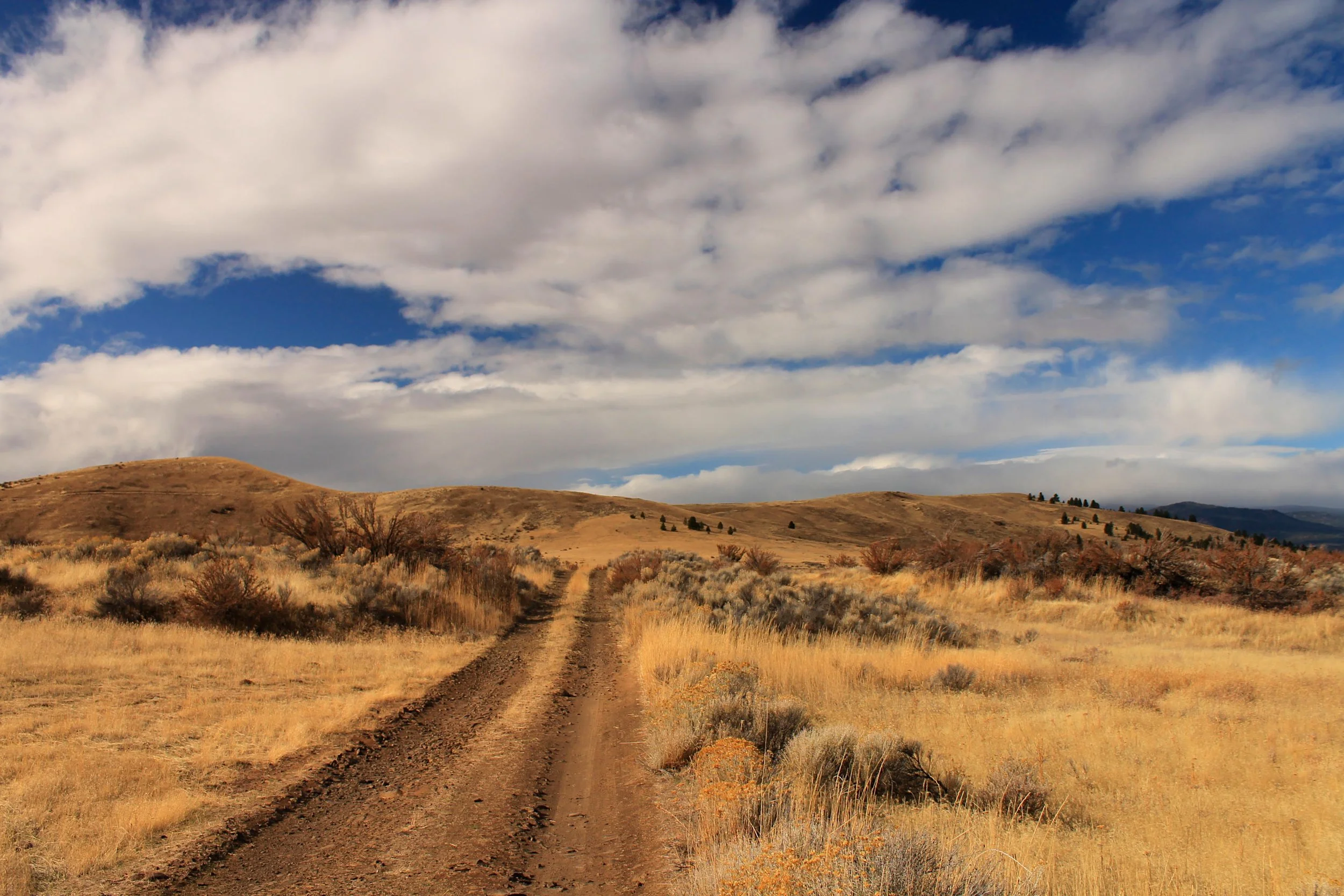 Postage Stamp Butte 024 web.JPG