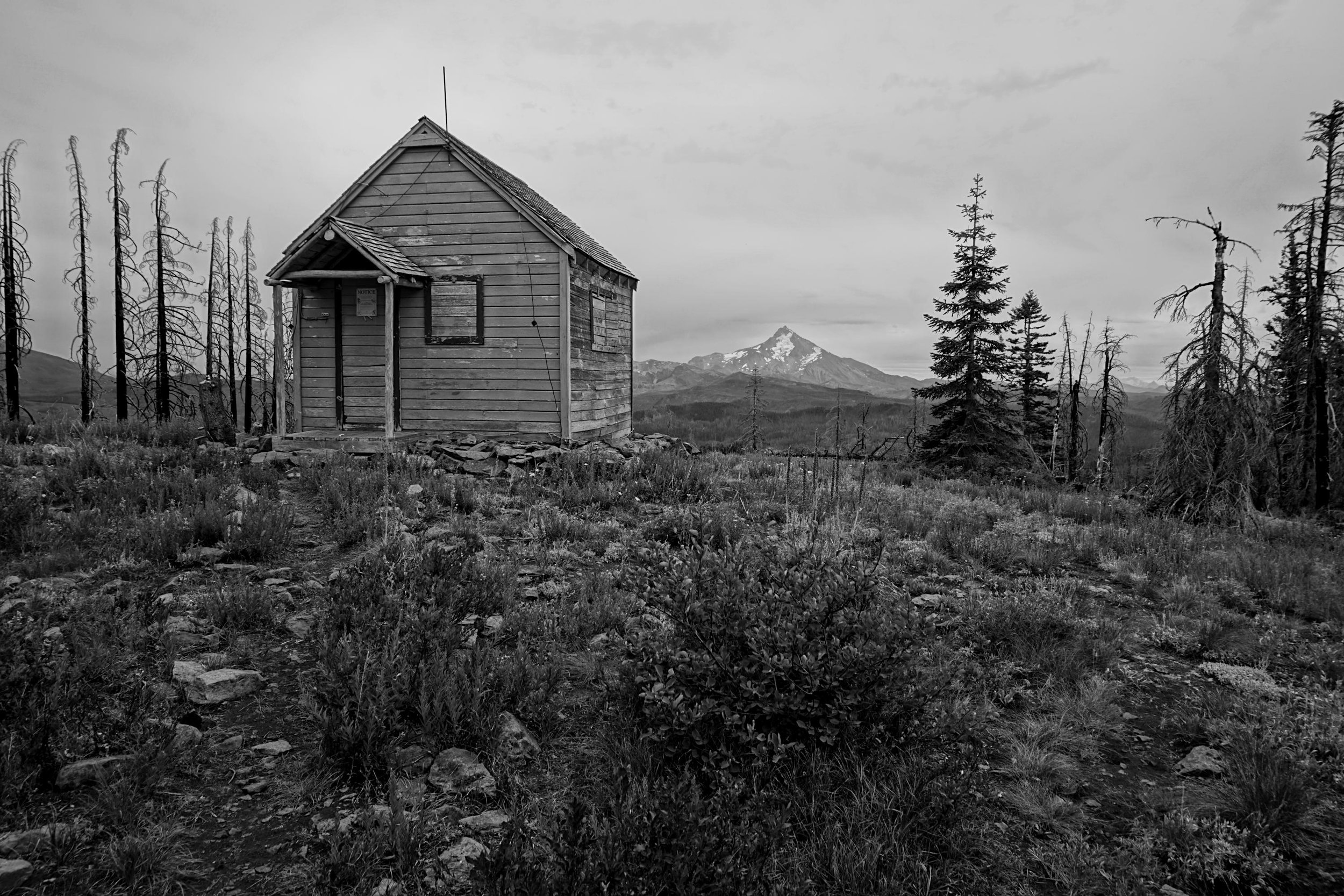 Hawk Mountain 011 web.JPG