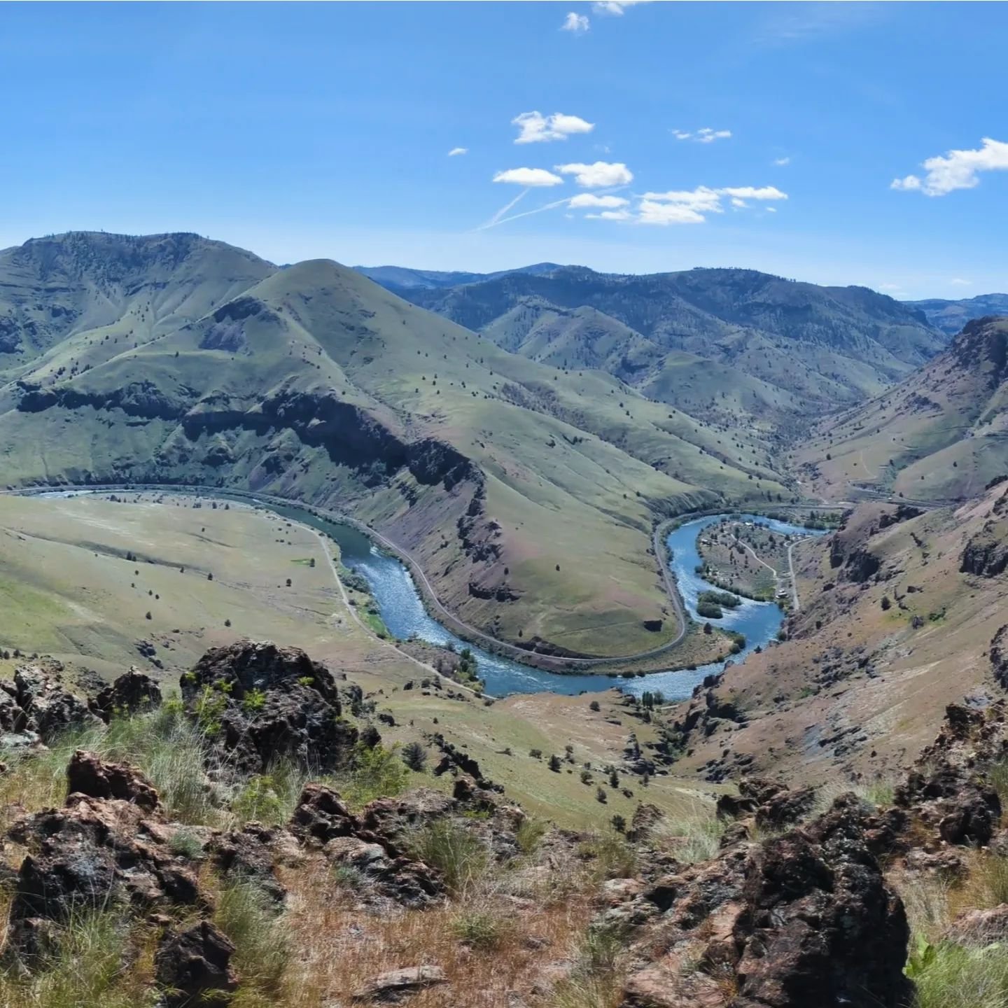 We had quite the adventure exploring the Deschutes canyon today. I led Team Comfort Optional up and over my favorite loop above the river. We hiked 13 miles, much of it on faint trail or no trail. We saw bighorn sheep, lizards, many birds, and no peo