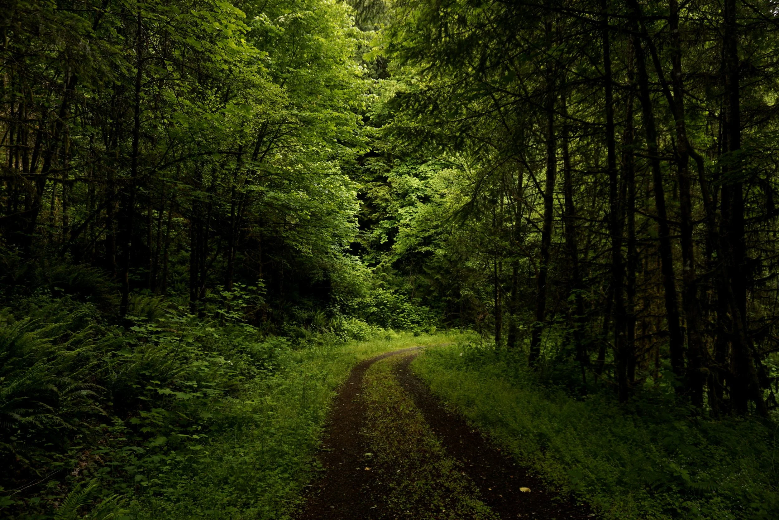 Burlington Creek 040 web.JPG