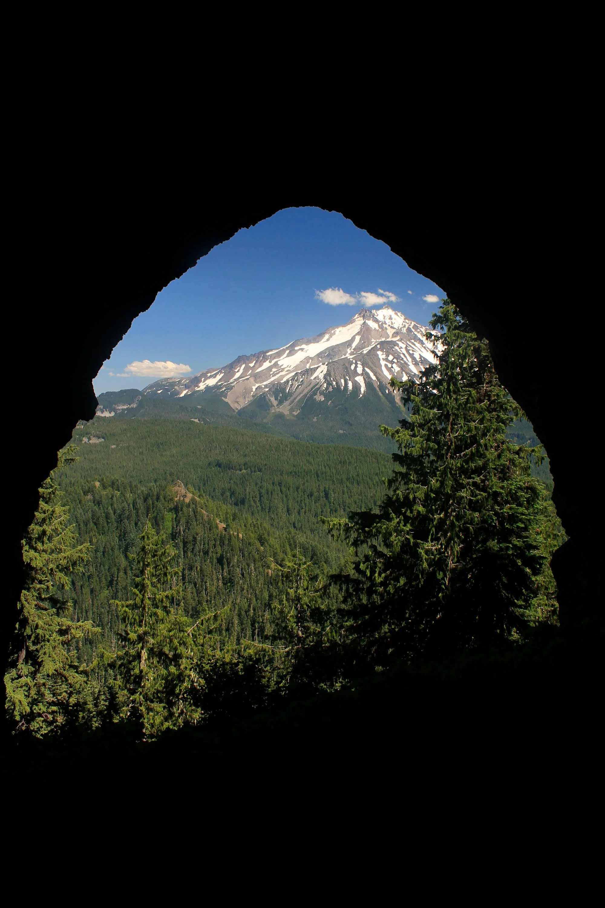 Wild Cheat Meadow 177 web.JPG