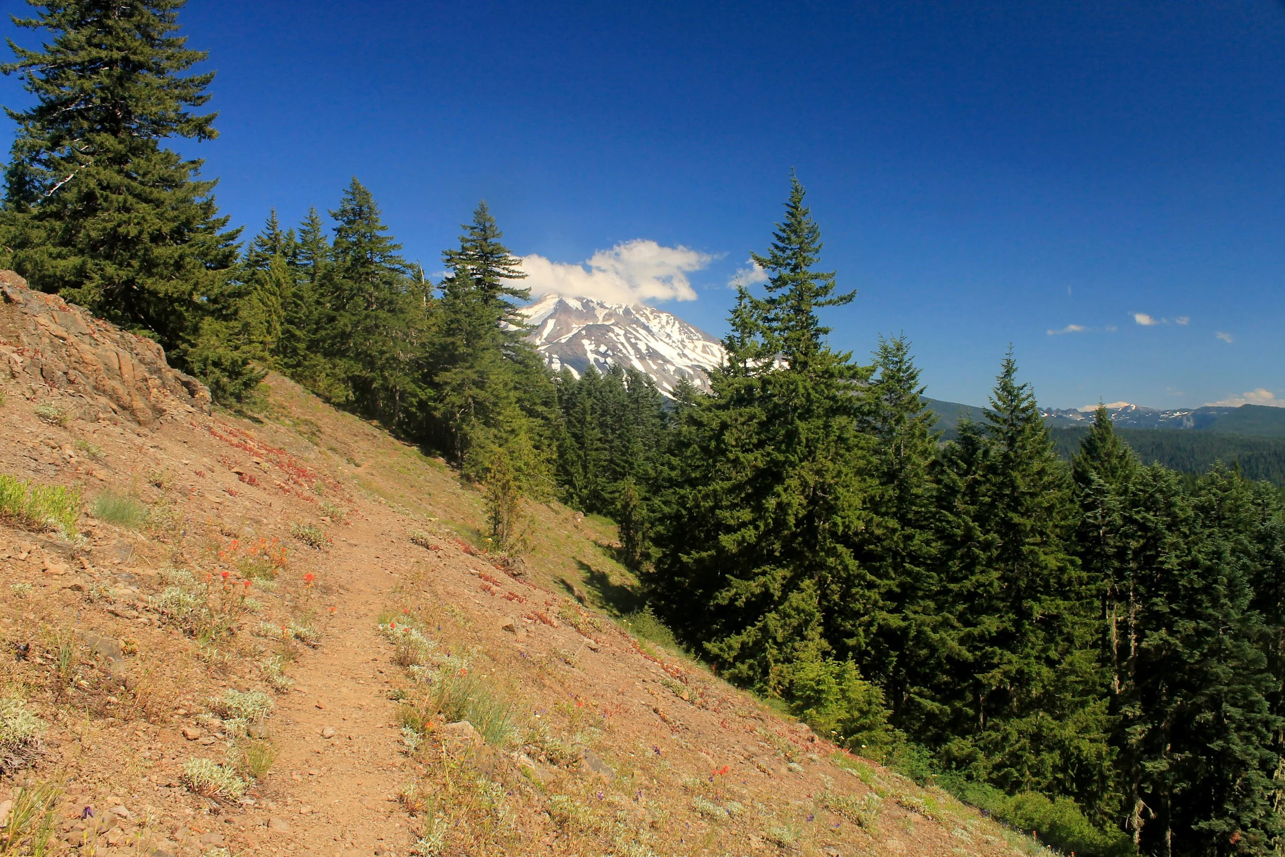 Wild Cheat Meadow 209 web.JPG