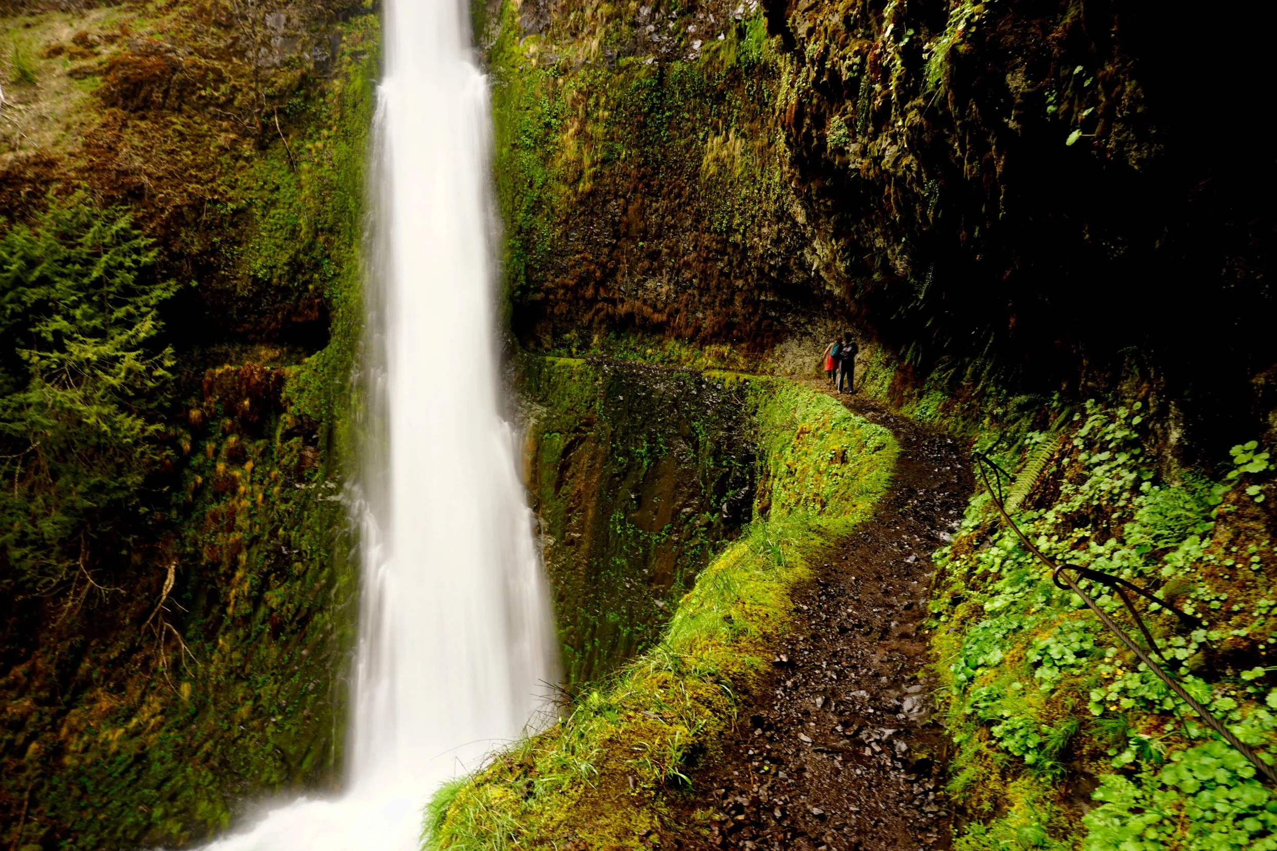 Columbia River Gorge Hikes and Adventures