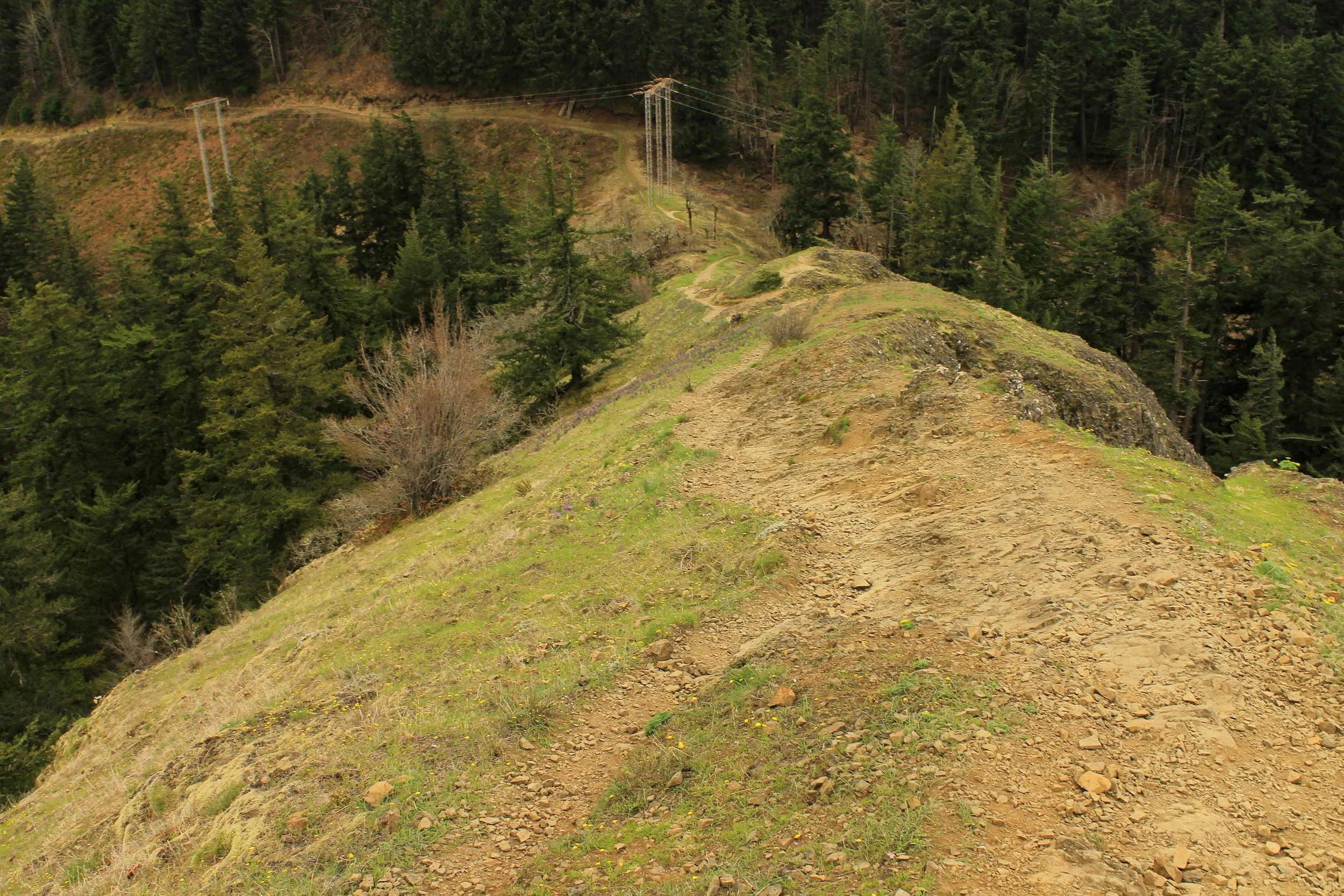 Mitchell Point — Off the Beaten Trail!