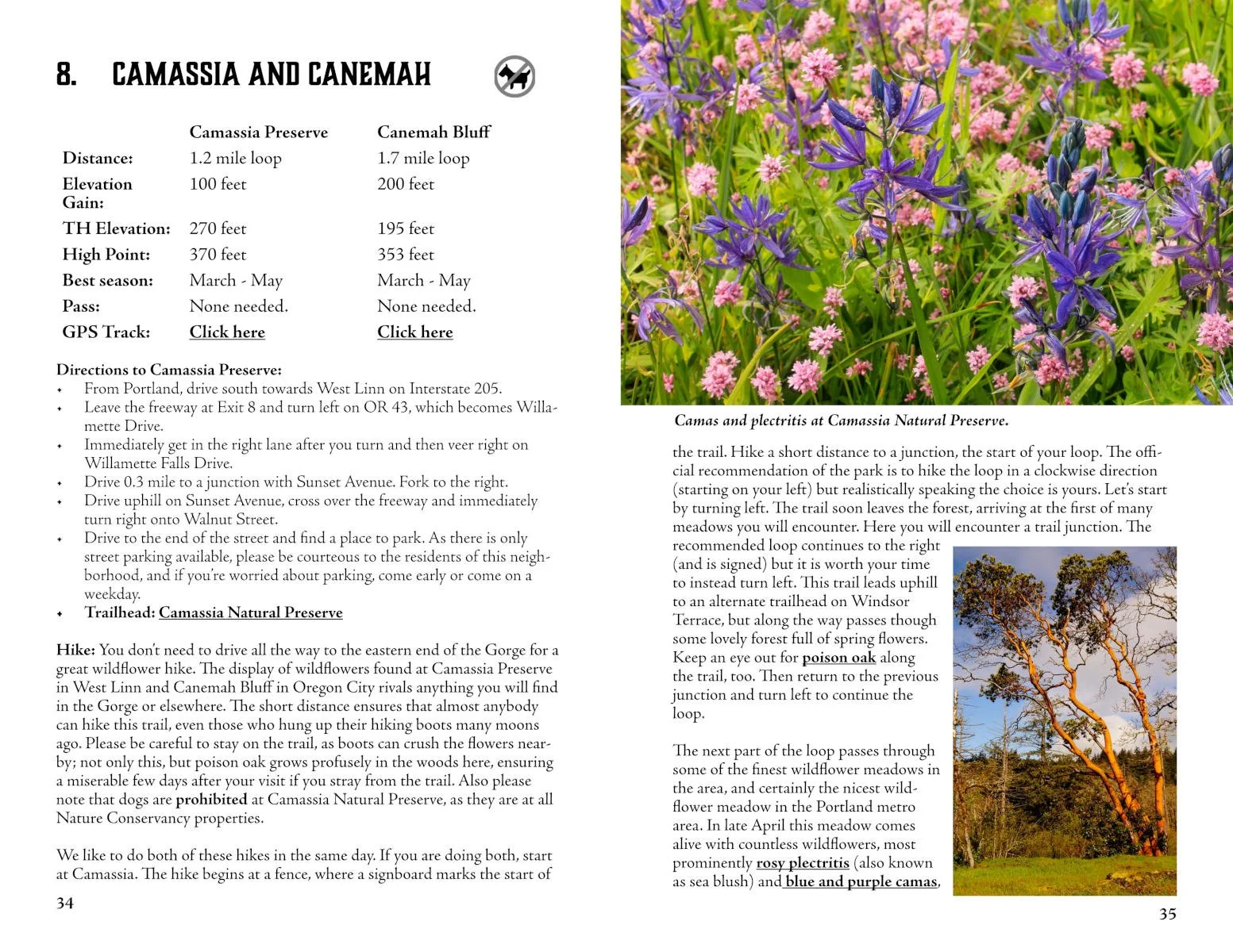 E-Book Mini 001 - Pages 34-35 Sample.jpg