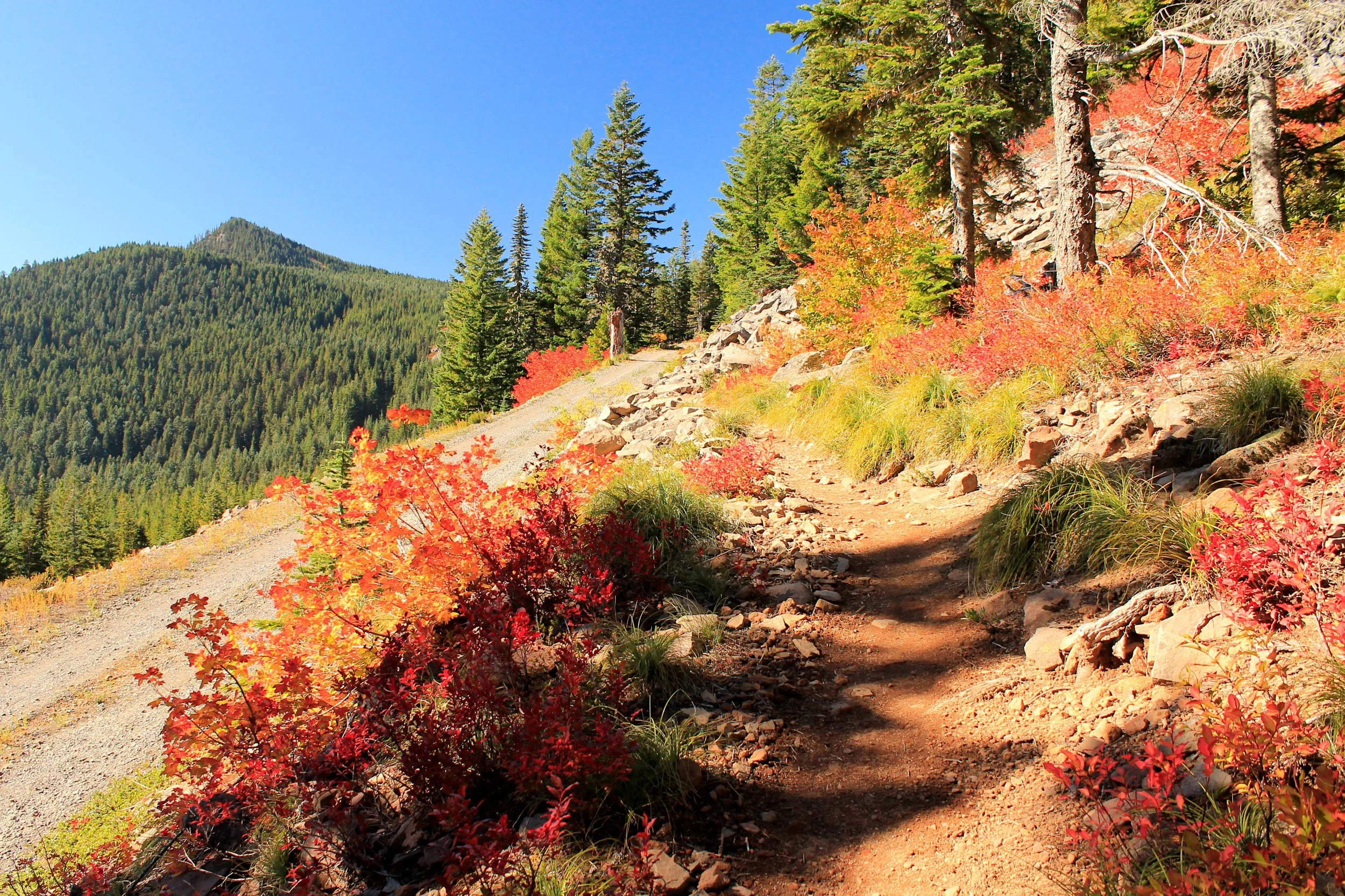 Indian Mountain 039 web.JPG